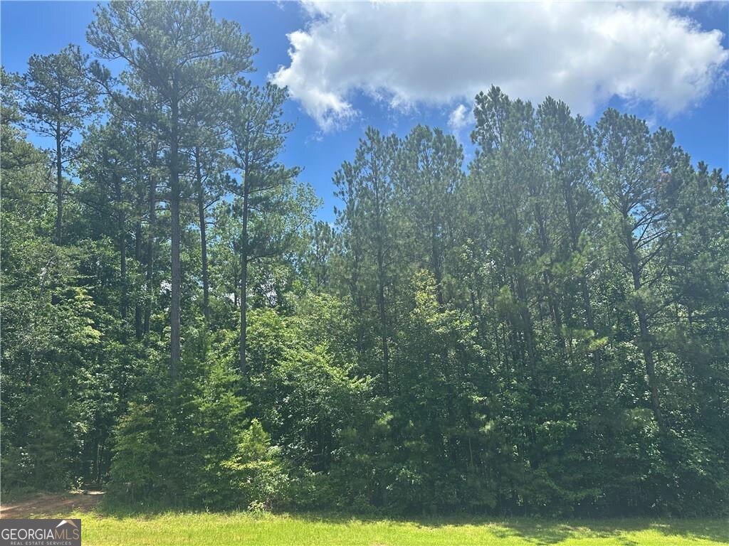 0 Elsberry Mountain Road Dallas GA 30132