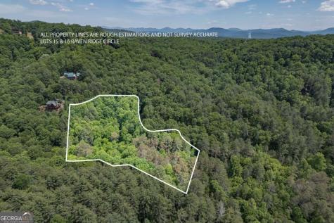 L 15&16 Raven Ridge Circle Mineral Bluff GA 30559