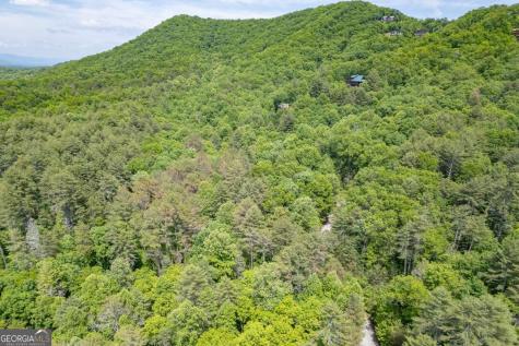 L 15&16 Raven Ridge Circle Mineral Bluff GA 30559