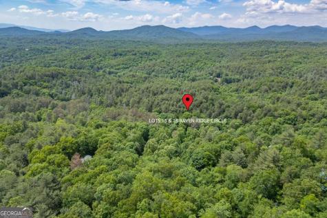 L 15&16 Raven Ridge Circle Mineral Bluff GA 30559