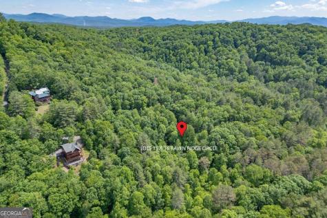 L 15&16 Raven Ridge Circle Mineral Bluff GA 30559