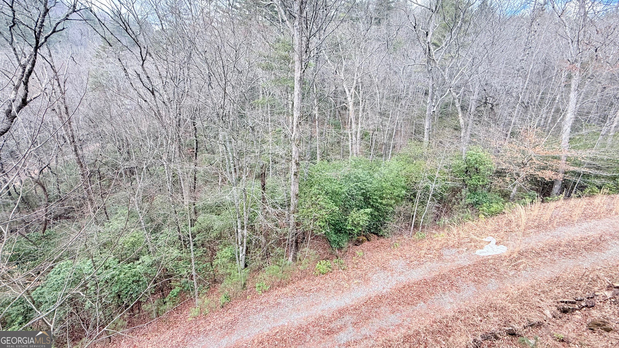 8072 Doublehead Gap Road Blue Ridge GA 30513
