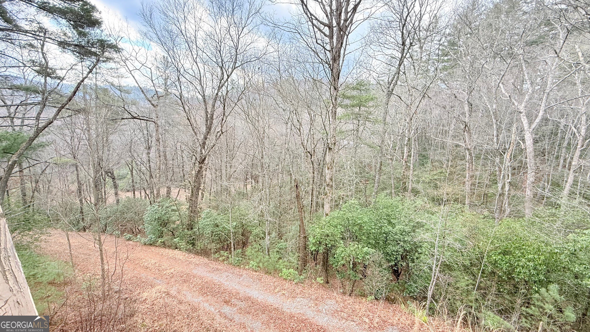 8072 Doublehead Gap Road Blue Ridge GA 30513