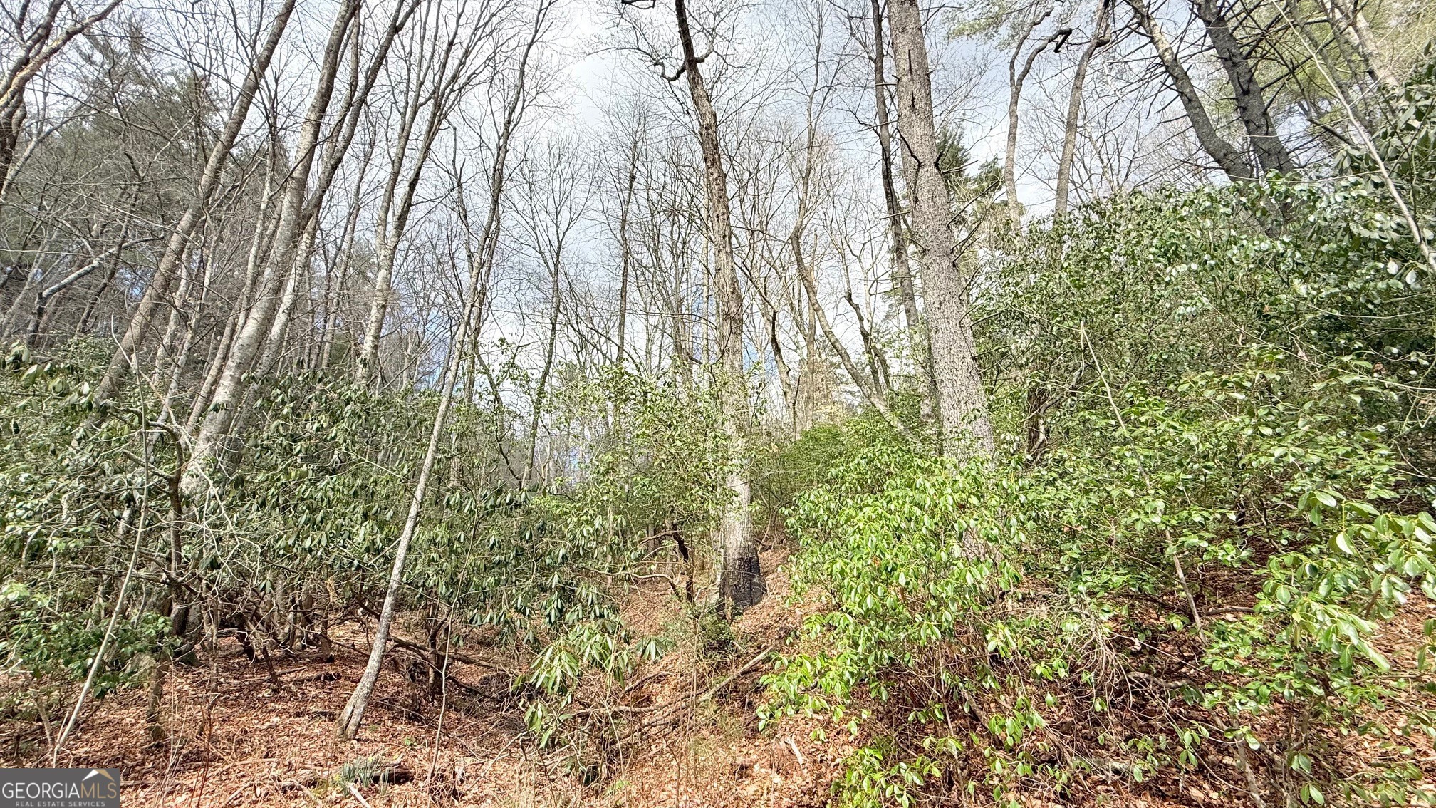 8072 Doublehead Gap Road Blue Ridge GA 30513