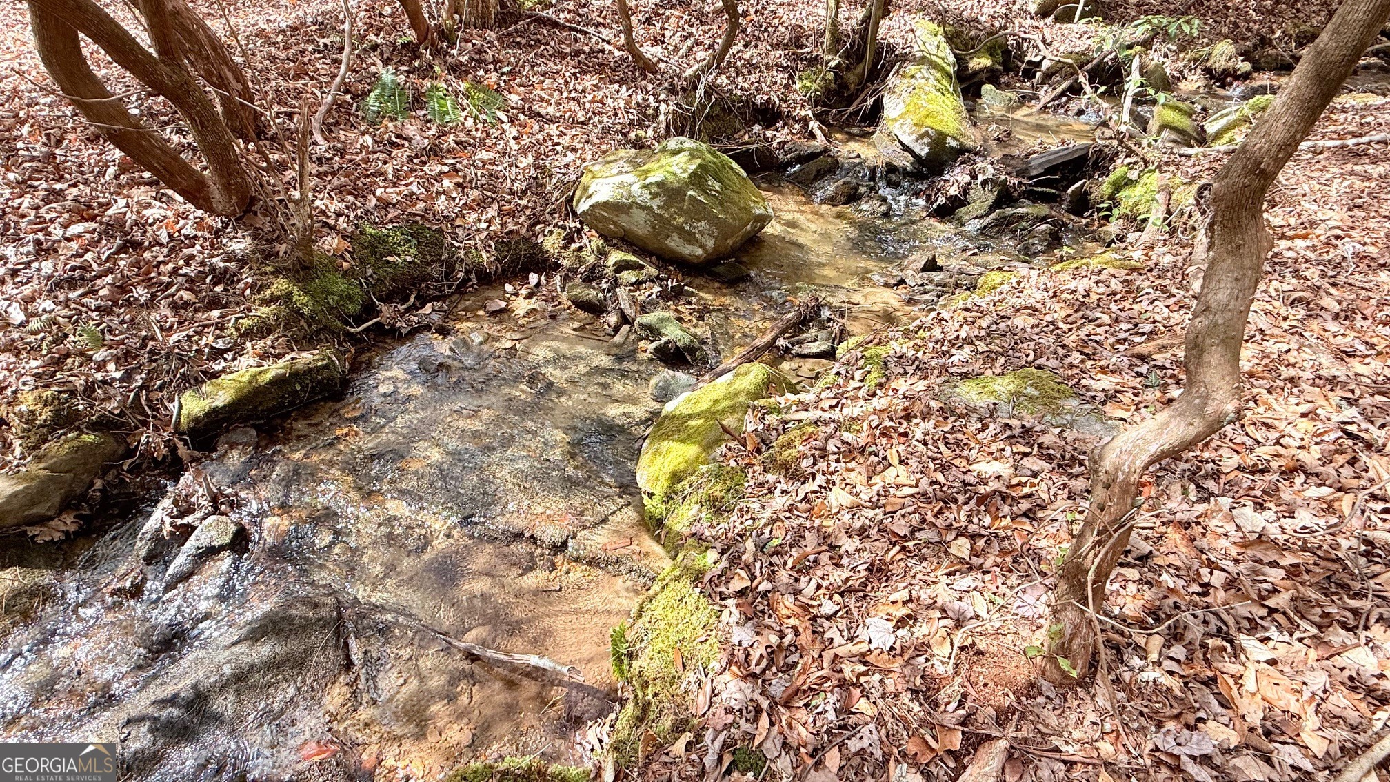 8072 Doublehead Gap Road Blue Ridge GA 30513