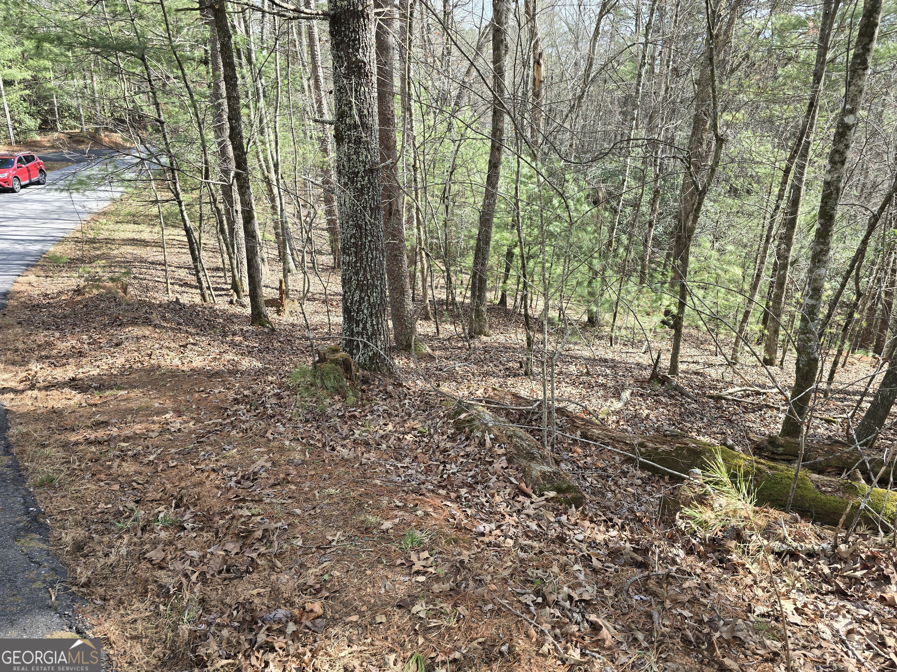 13L Sautee Trail Sautee Nacoochee GA 30571