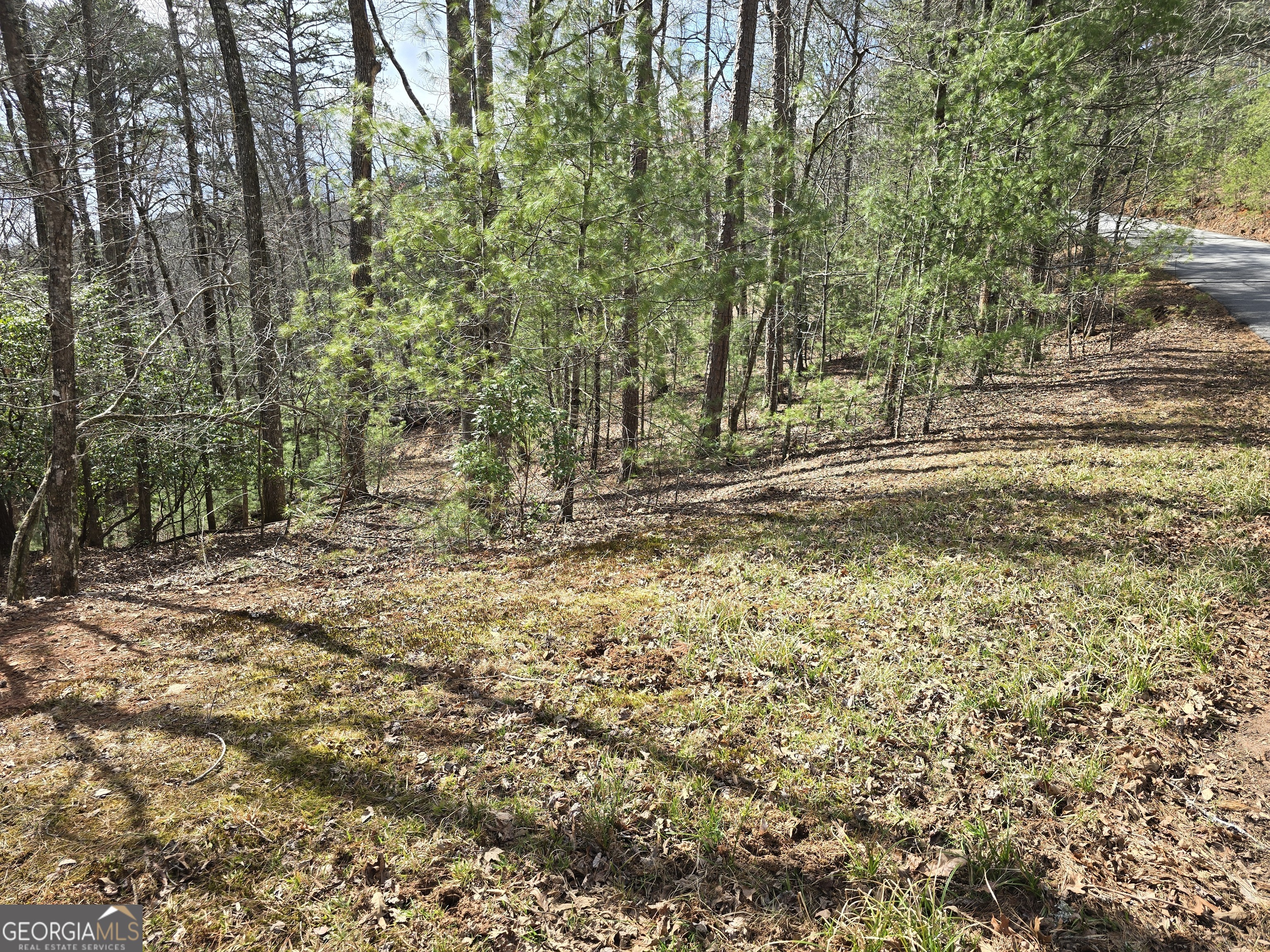 13L Sautee Trail Sautee Nacoochee GA 30571