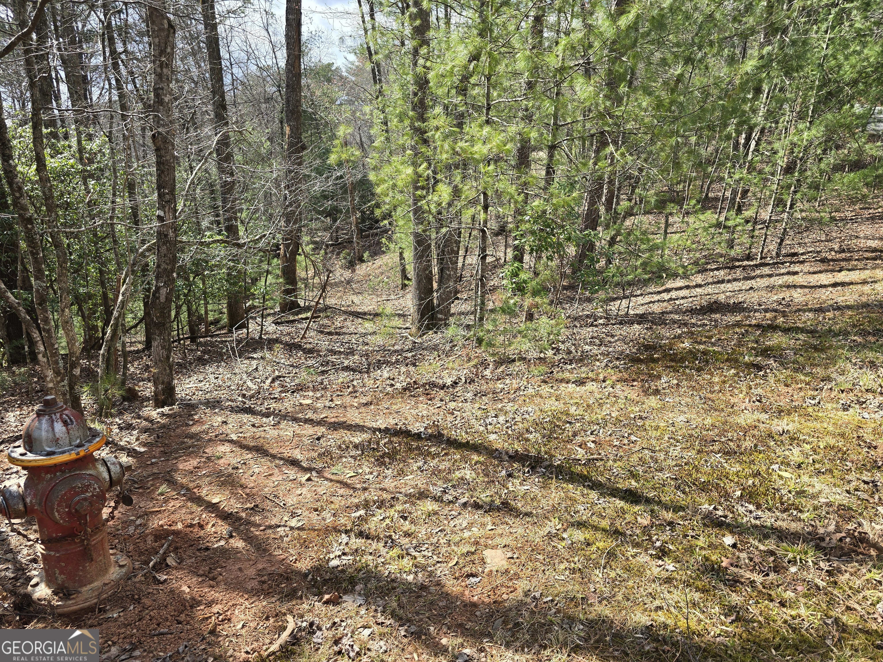 13L Sautee Trail Sautee Nacoochee GA 30571