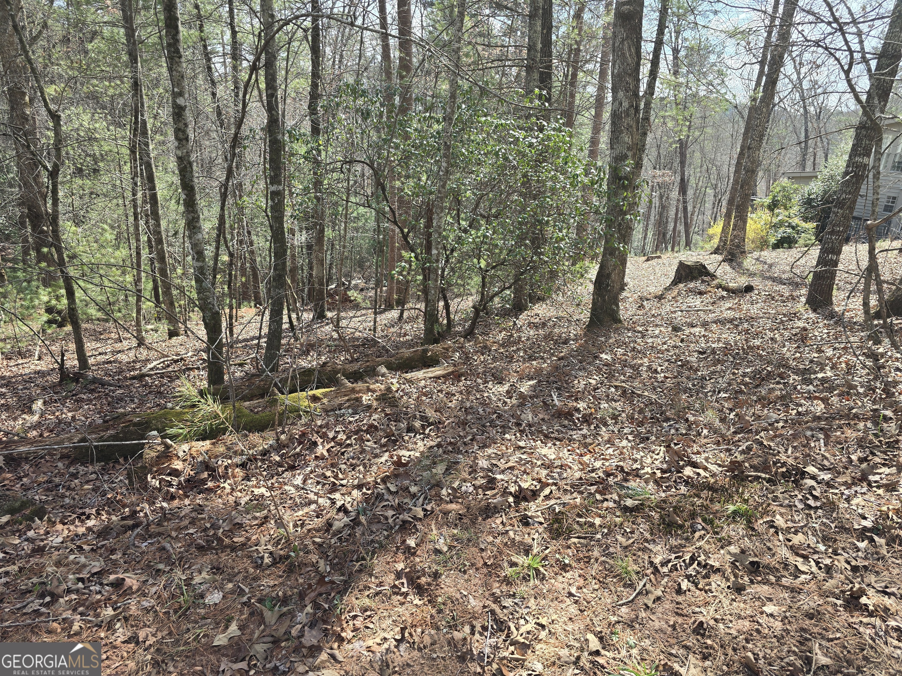 13L Sautee Trail Sautee Nacoochee GA 30571