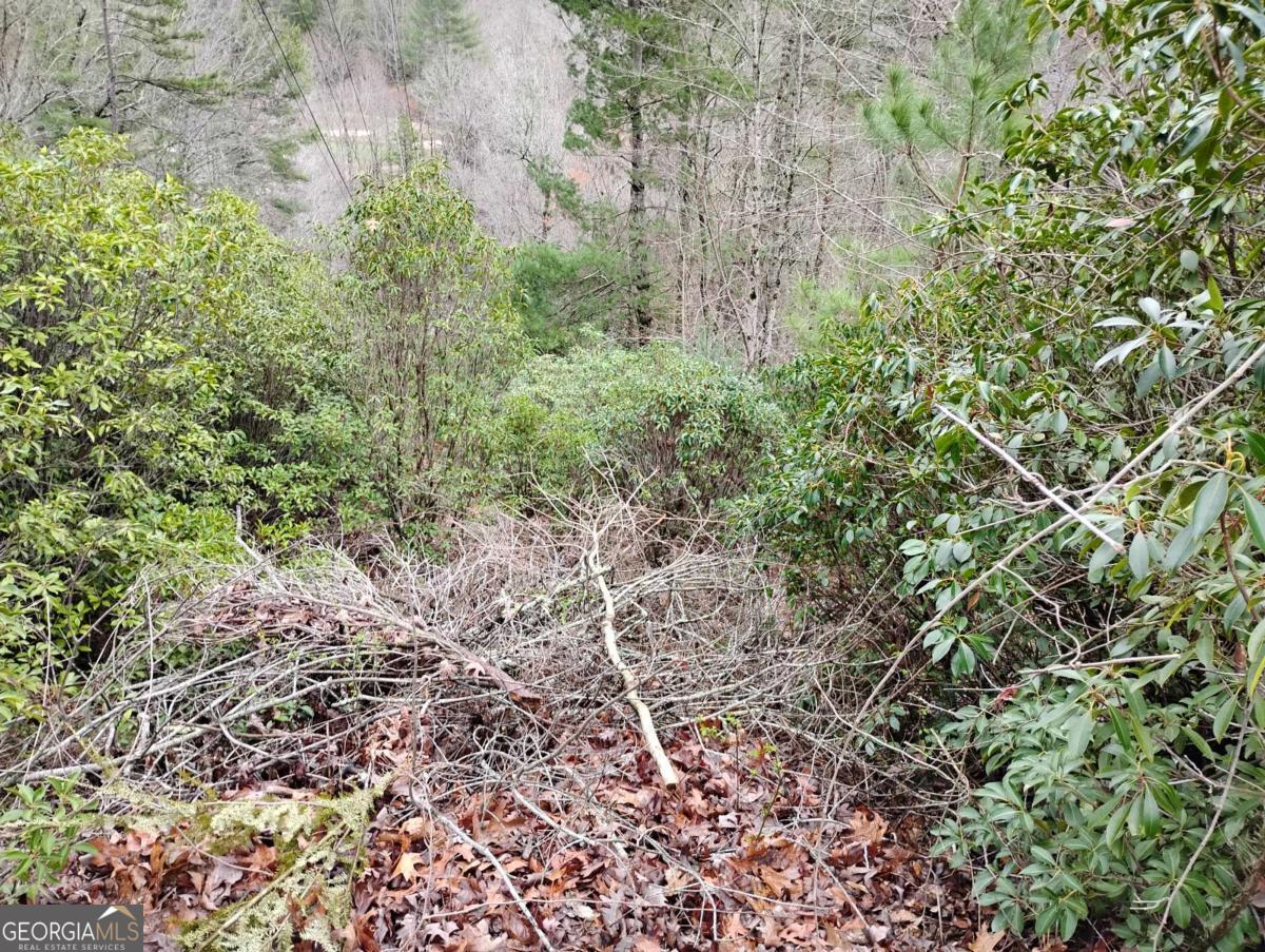 Lt 166 Shenendoa Drive Ellijay GA 30540