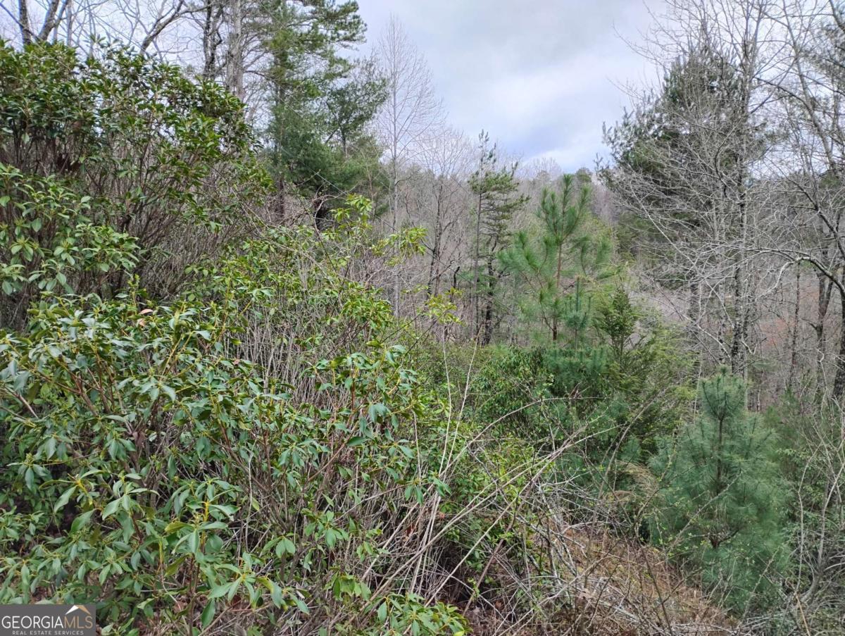 Lt 166 Shenendoa Drive Ellijay GA 30540