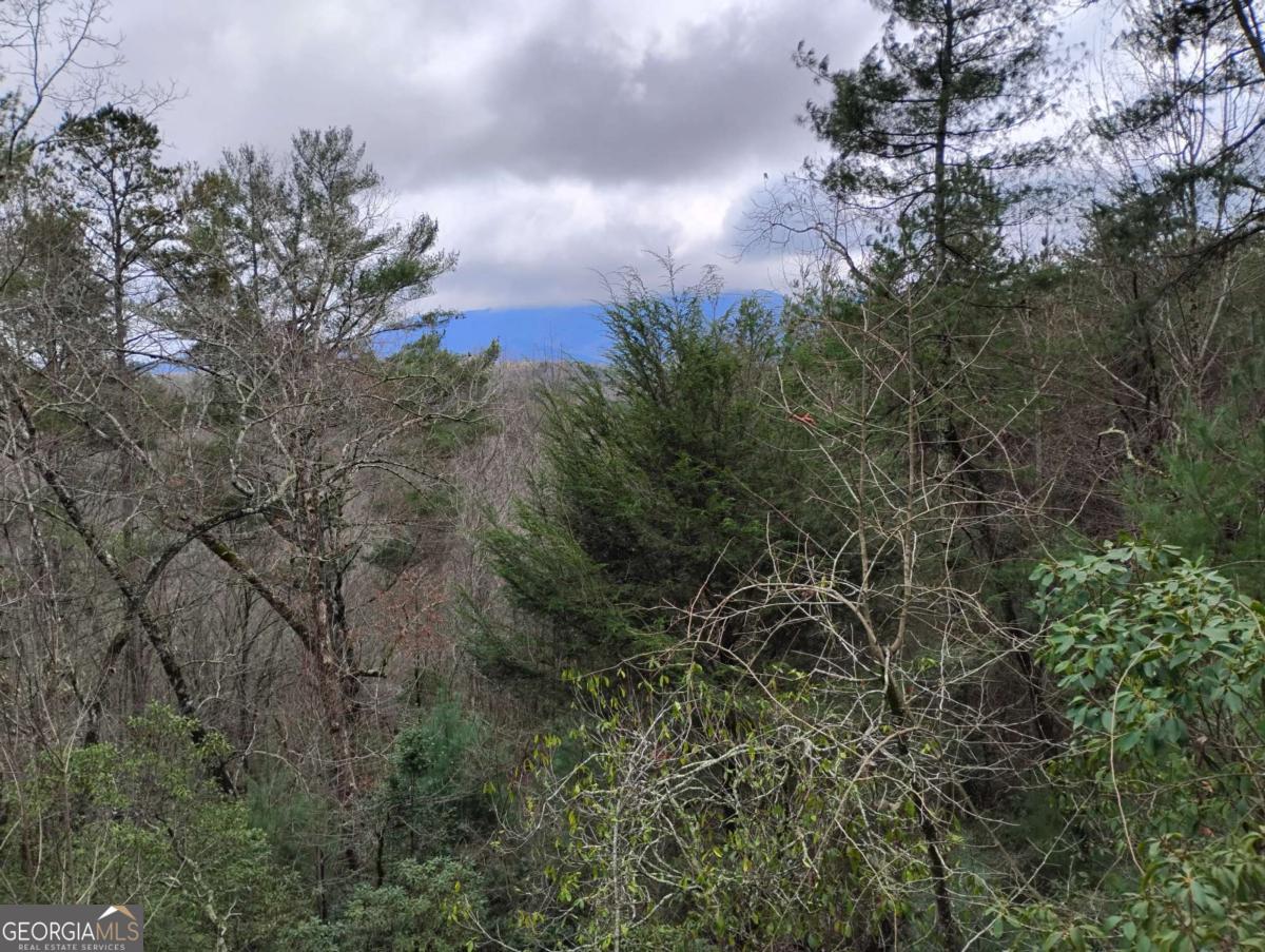 Lt 166 Shenendoa Drive Ellijay GA 30540
