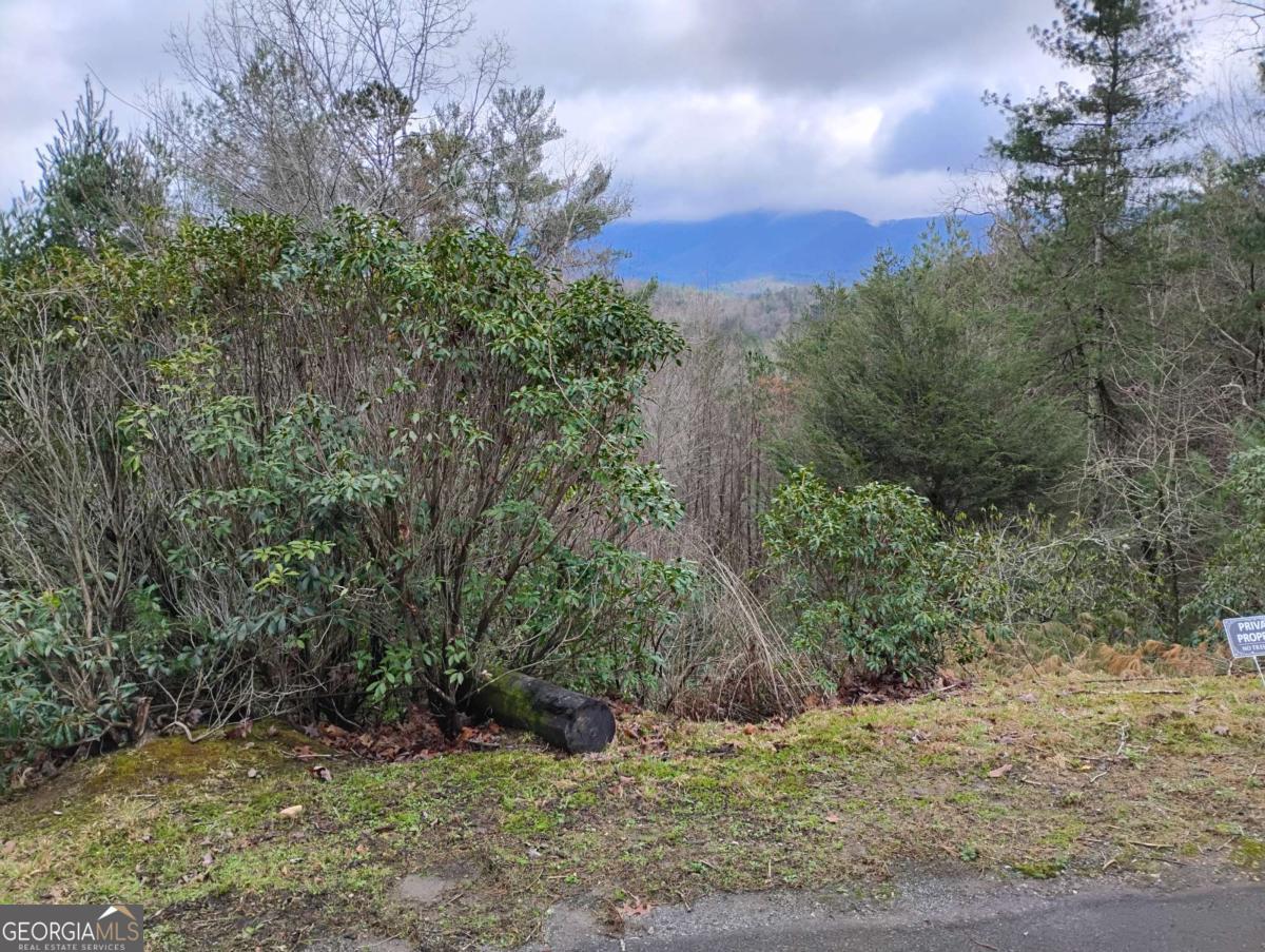 Lt 166 Shenendoa Drive Ellijay GA 30540