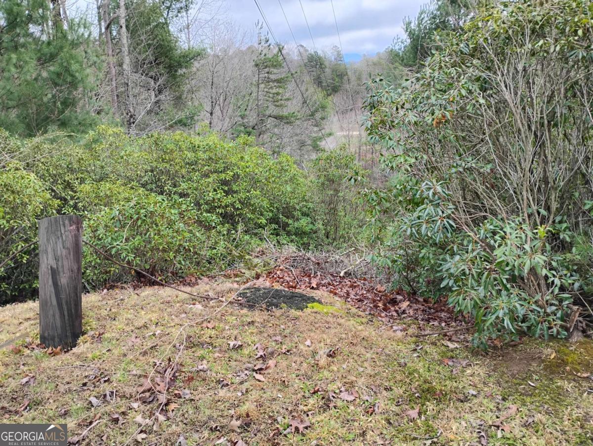 Lt 166 Shenendoa Drive Ellijay GA 30540