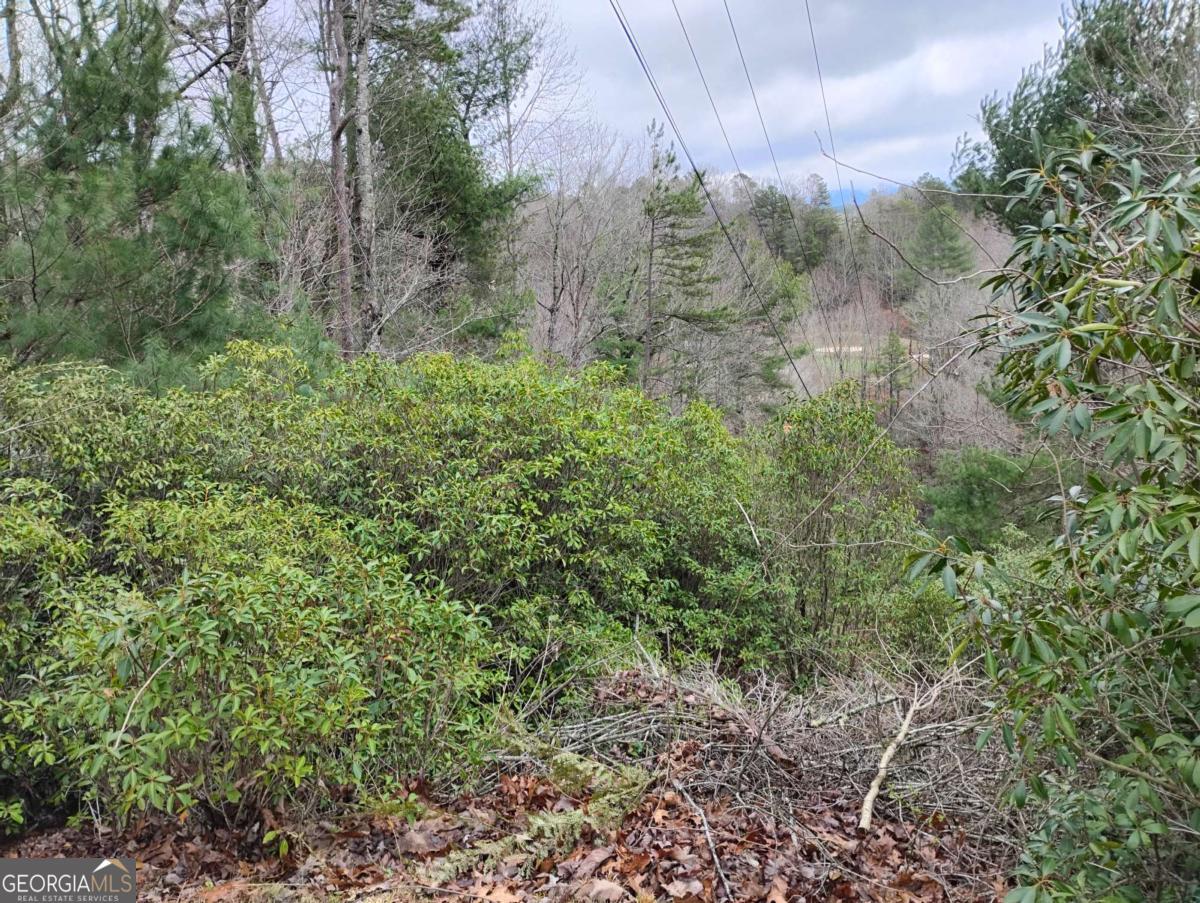 Lt 166 Shenendoa Drive Ellijay GA 30540