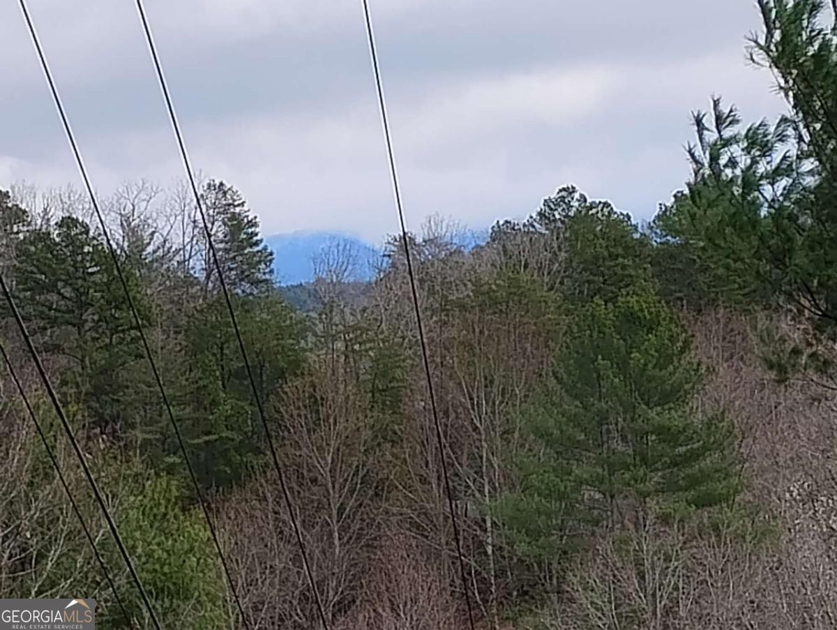 Lt 166 Shenendoa Drive Ellijay GA 30540