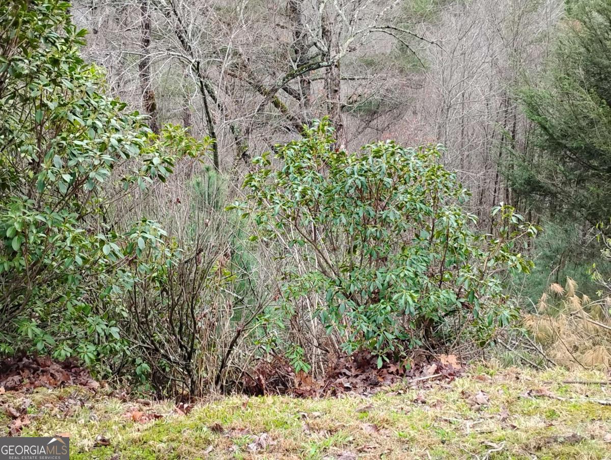 Lt 166 Shenendoa Drive Ellijay GA 30540