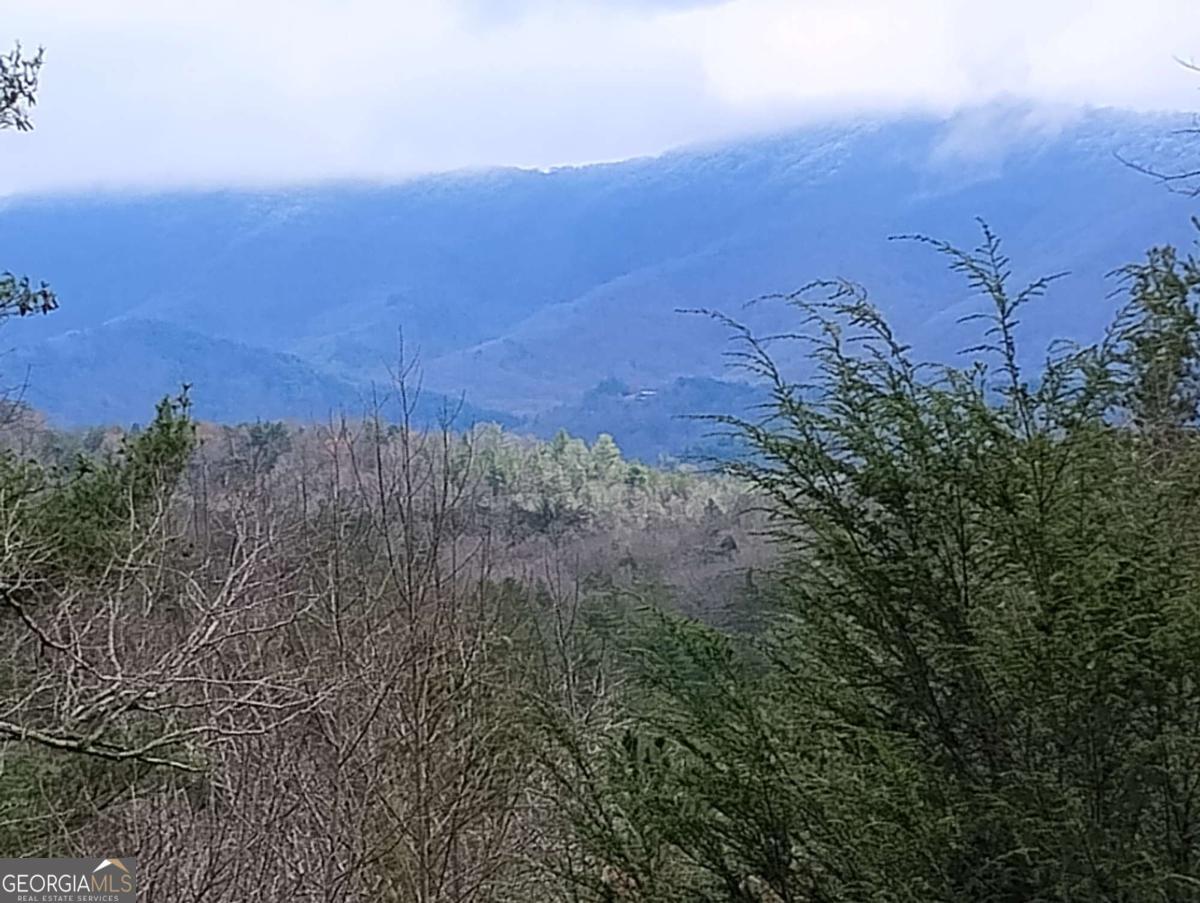 Lt 166 Shenendoa Drive Ellijay GA 30540