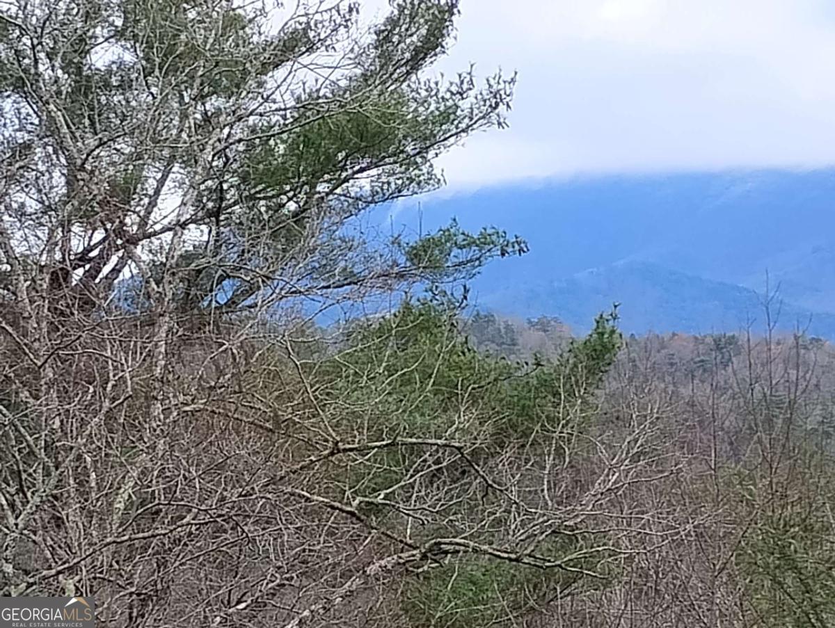Lt 166 Shenendoa Drive Ellijay GA 30540
