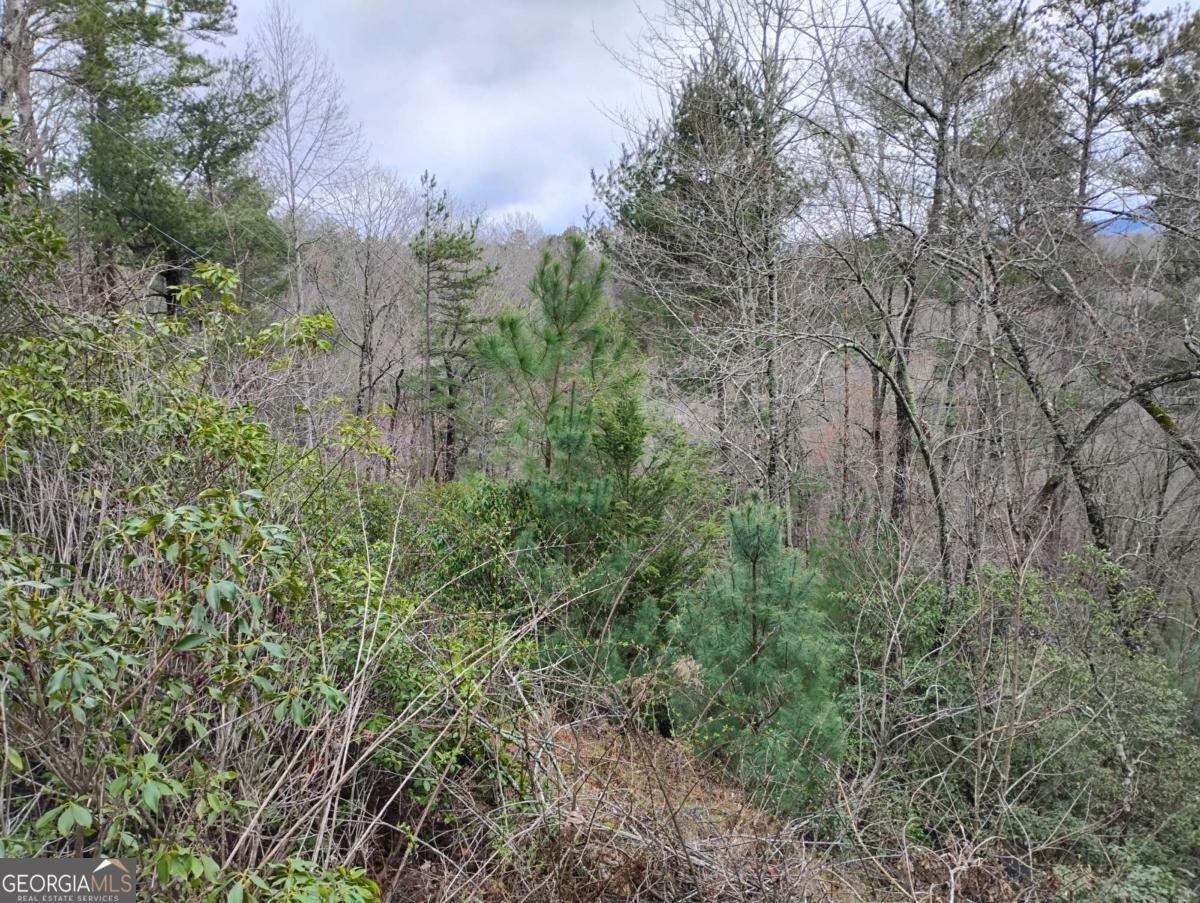 Lt 166 Shenendoa Drive Ellijay GA 30540