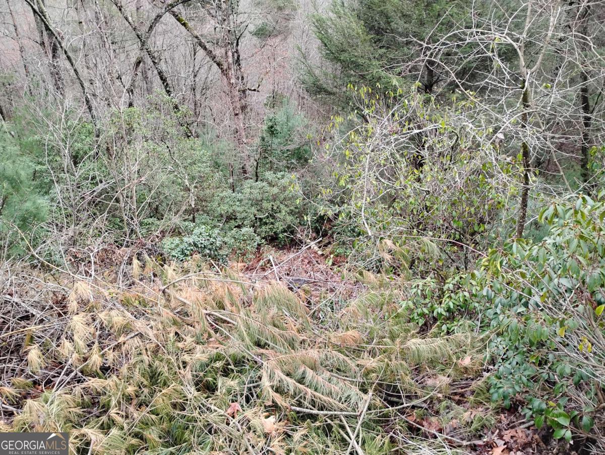 Lt 166 Shenendoa Drive Ellijay GA 30540