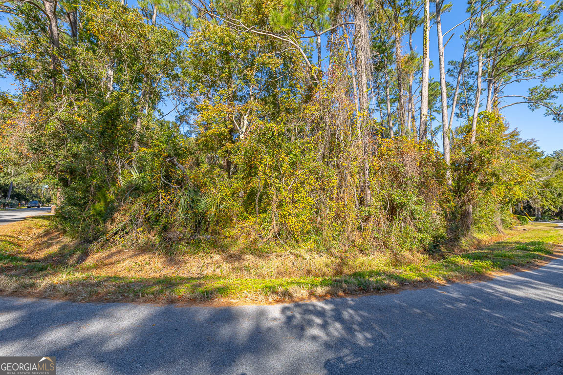 133 Helmich Drive Brunswick GA 31525