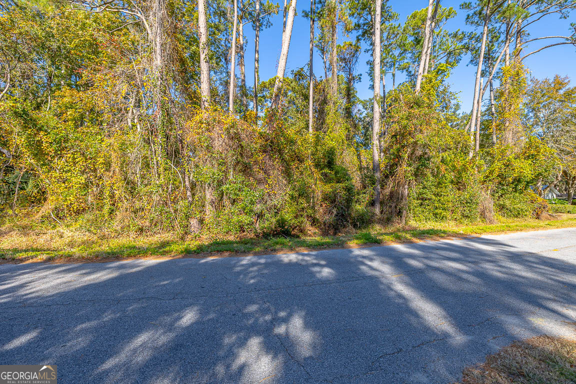 133 Helmich Drive Brunswick GA 31525