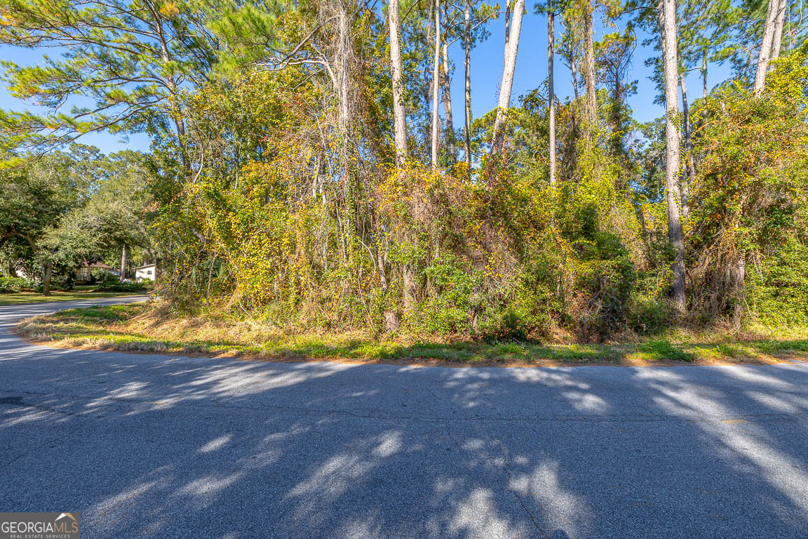 133 Helmich Drive Brunswick GA 31525