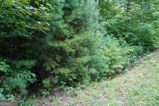 0 Heavenly Circle Clayton GA 30525