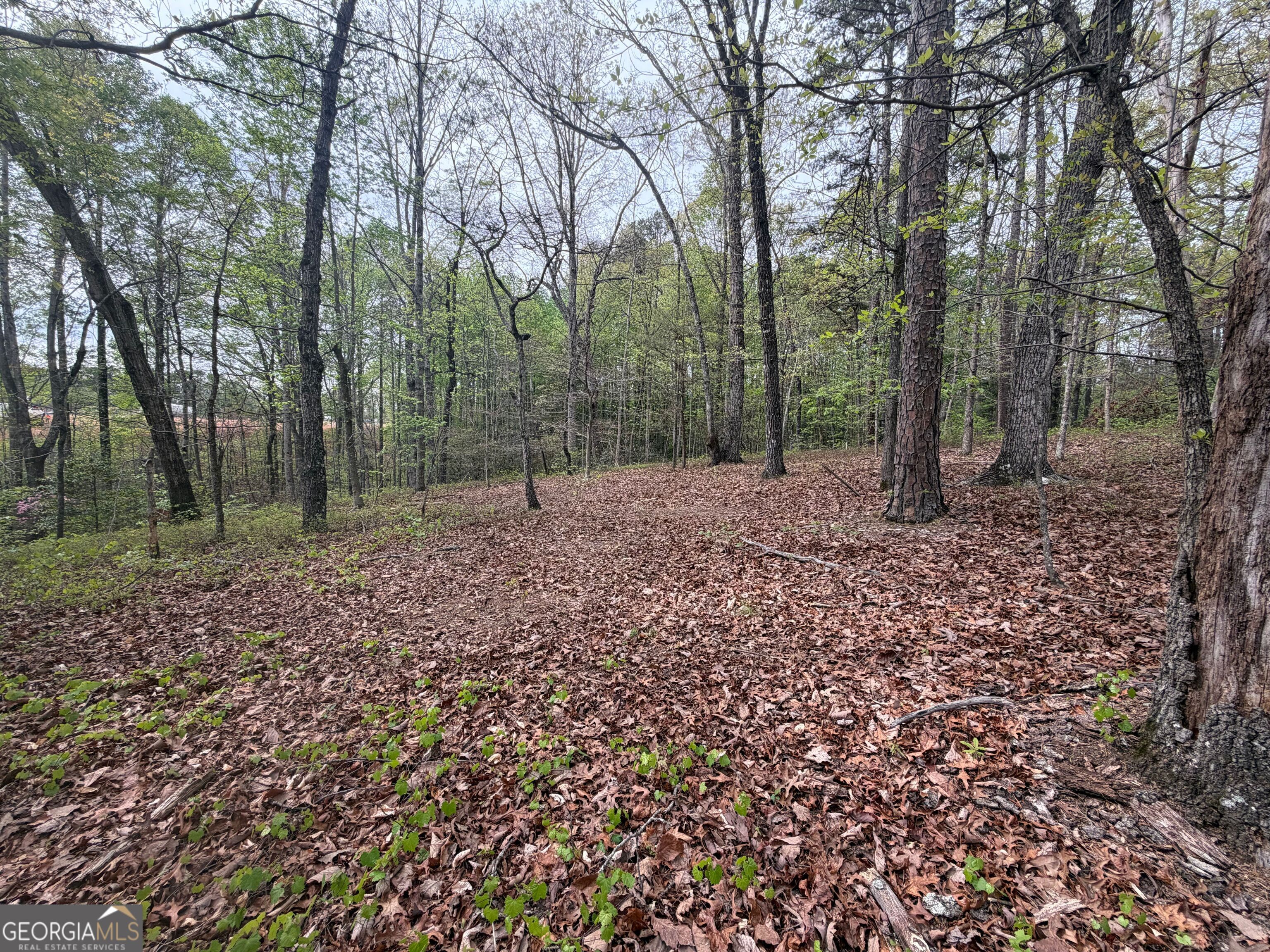 0 N County Line Road Alto GA 30510