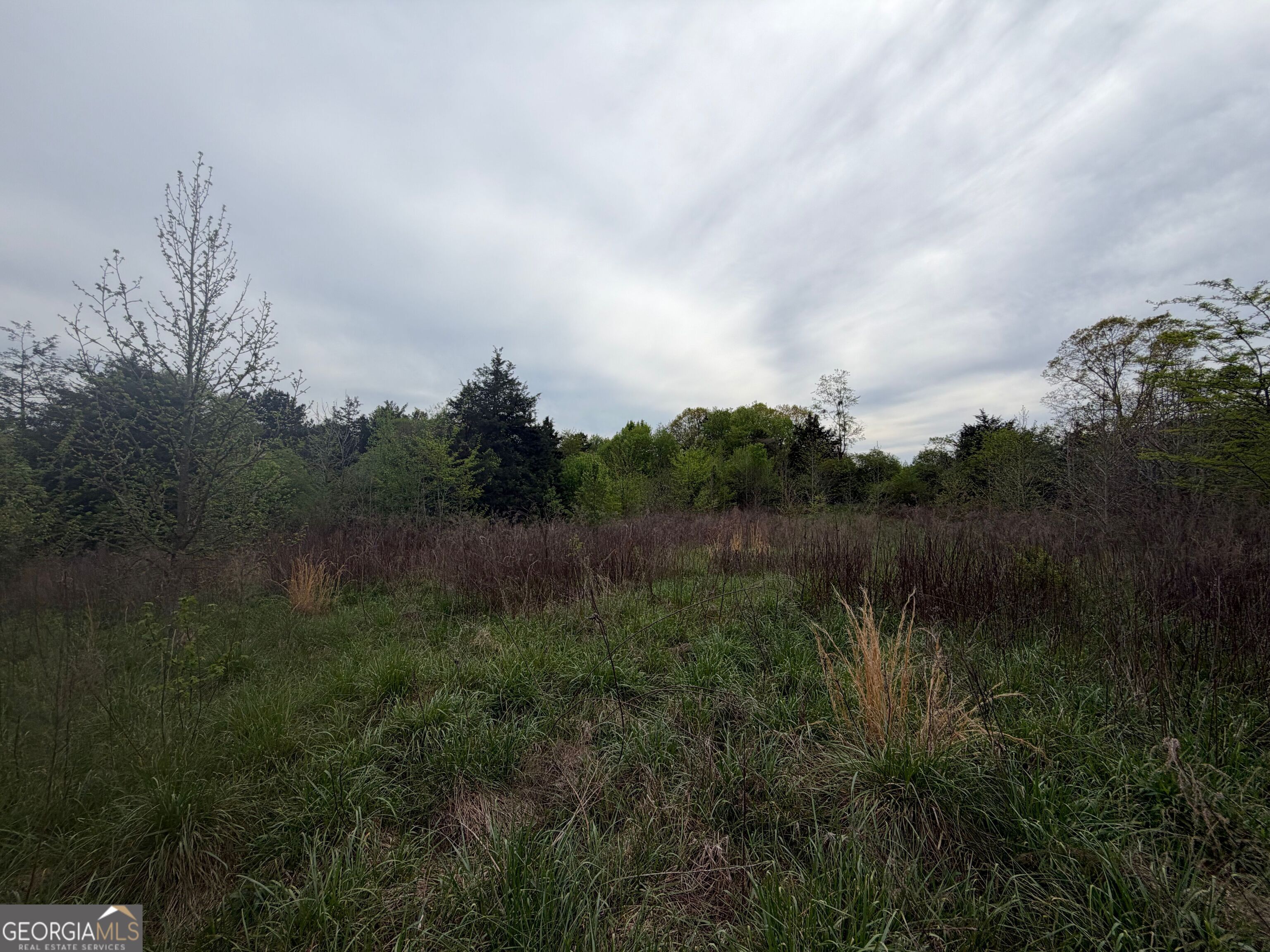 0 N County Line Road Alto GA 30510