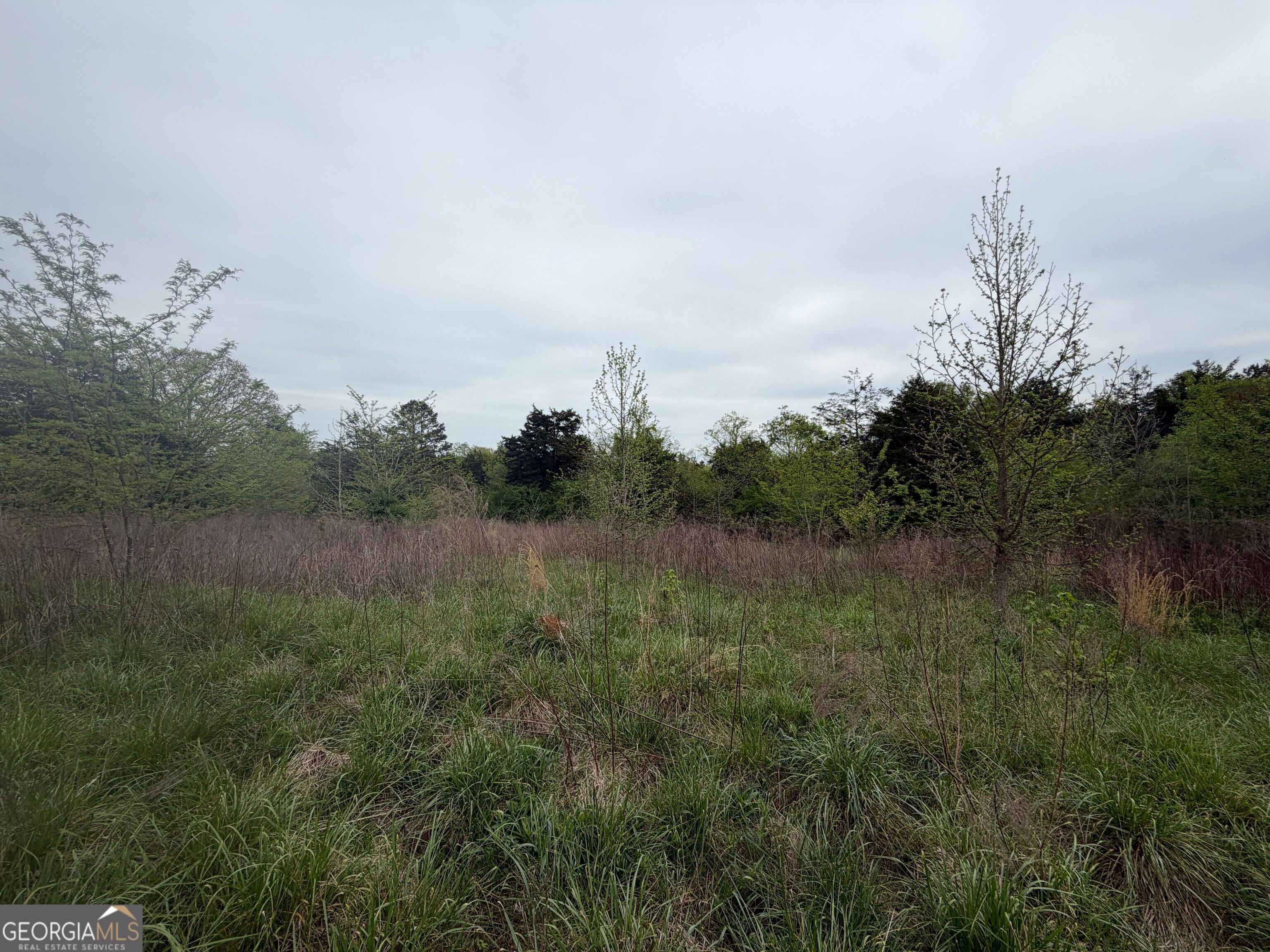0 N County Line Road Alto GA 30510
