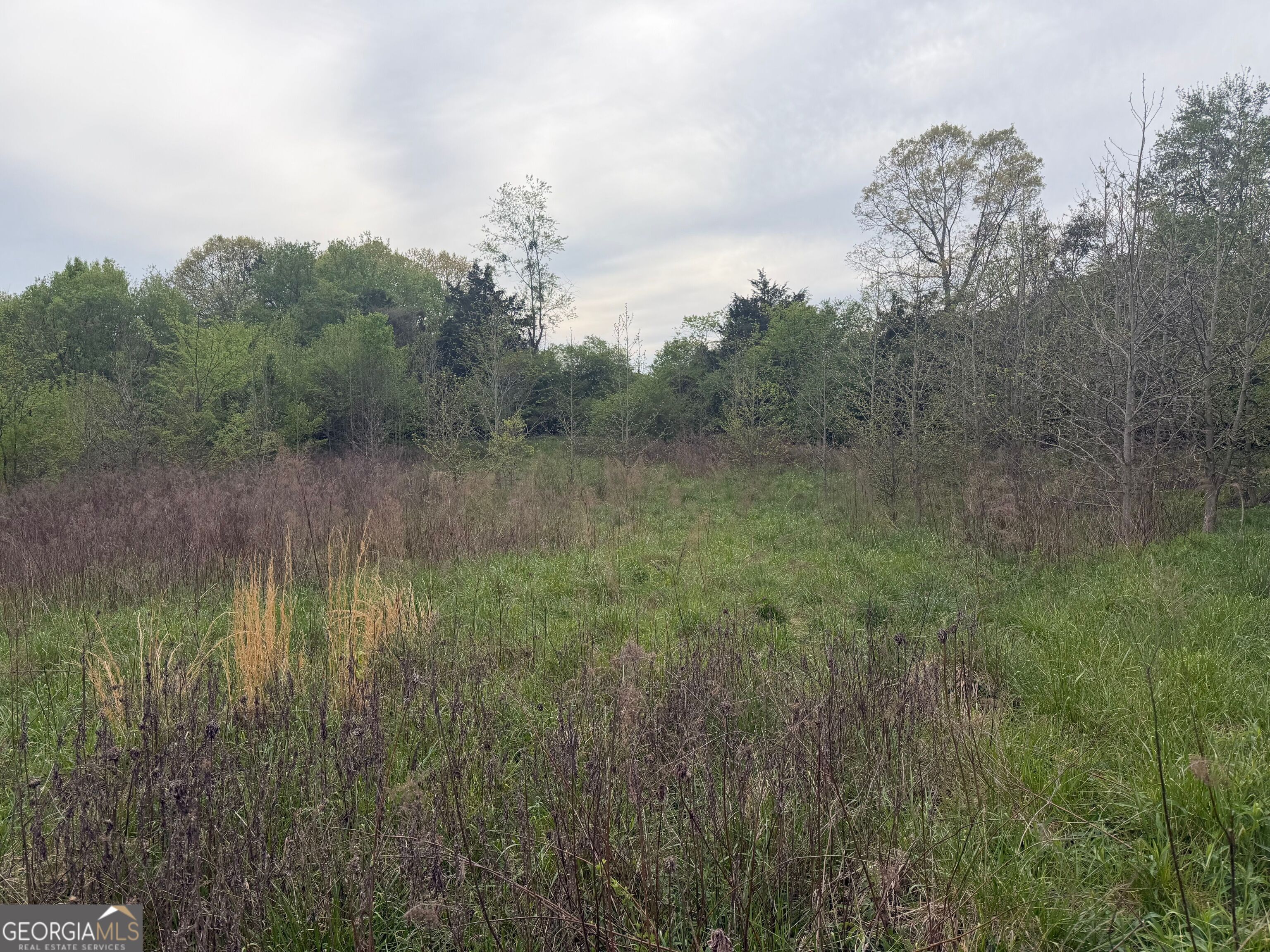 0 N County Line Road Alto GA 30510