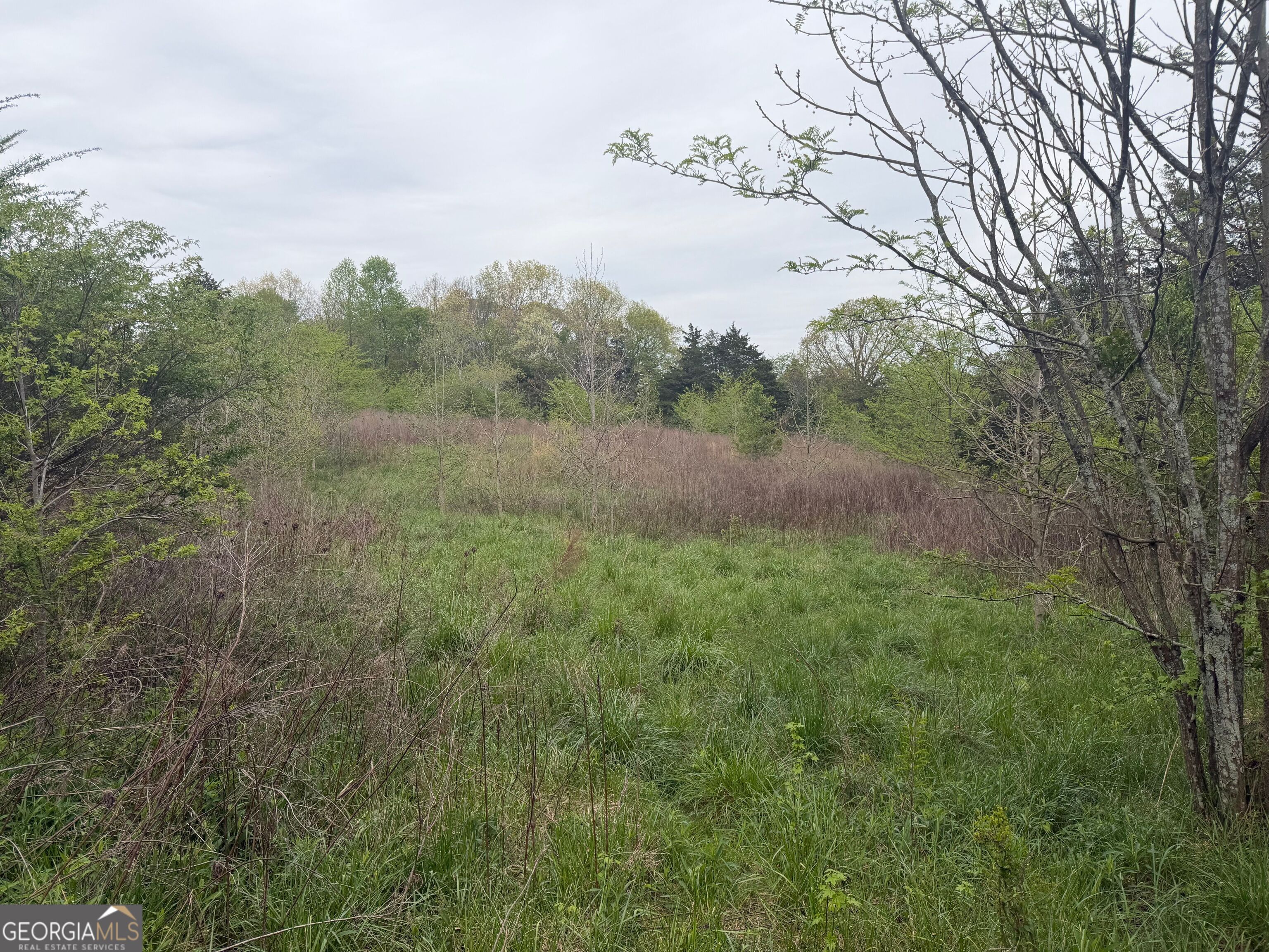 0 N County Line Road Alto GA 30510