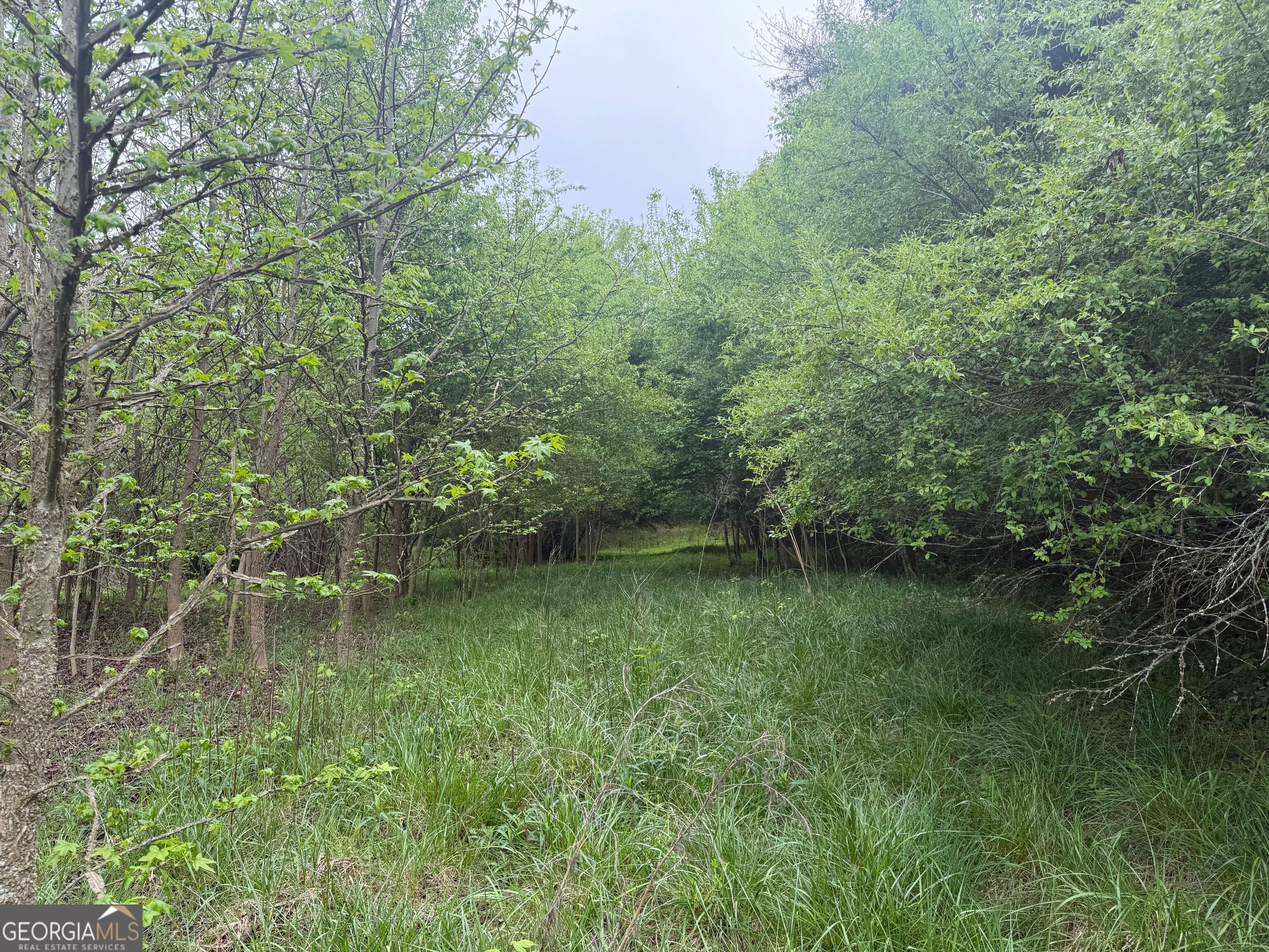 0 N County Line Road Alto GA 30510