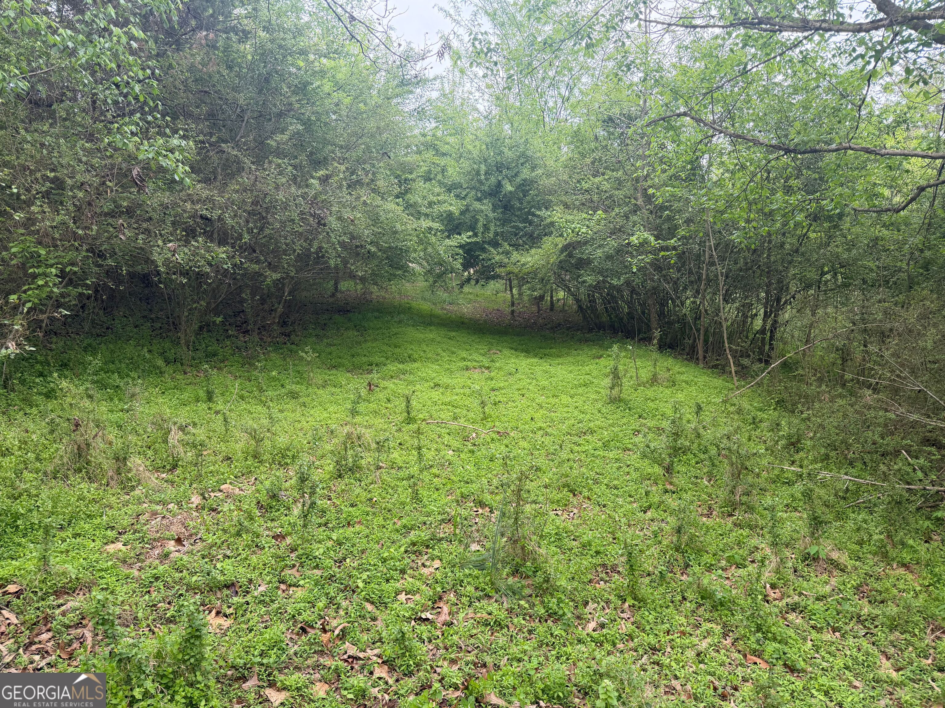 0 N County Line Road Alto GA 30510