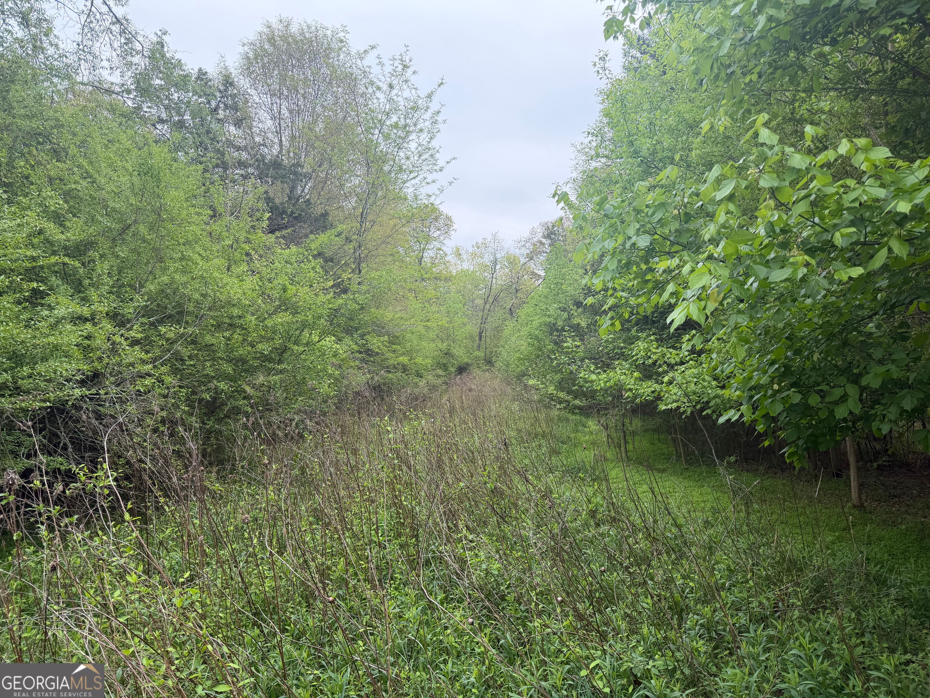 0 N County Line Road Alto GA 30510