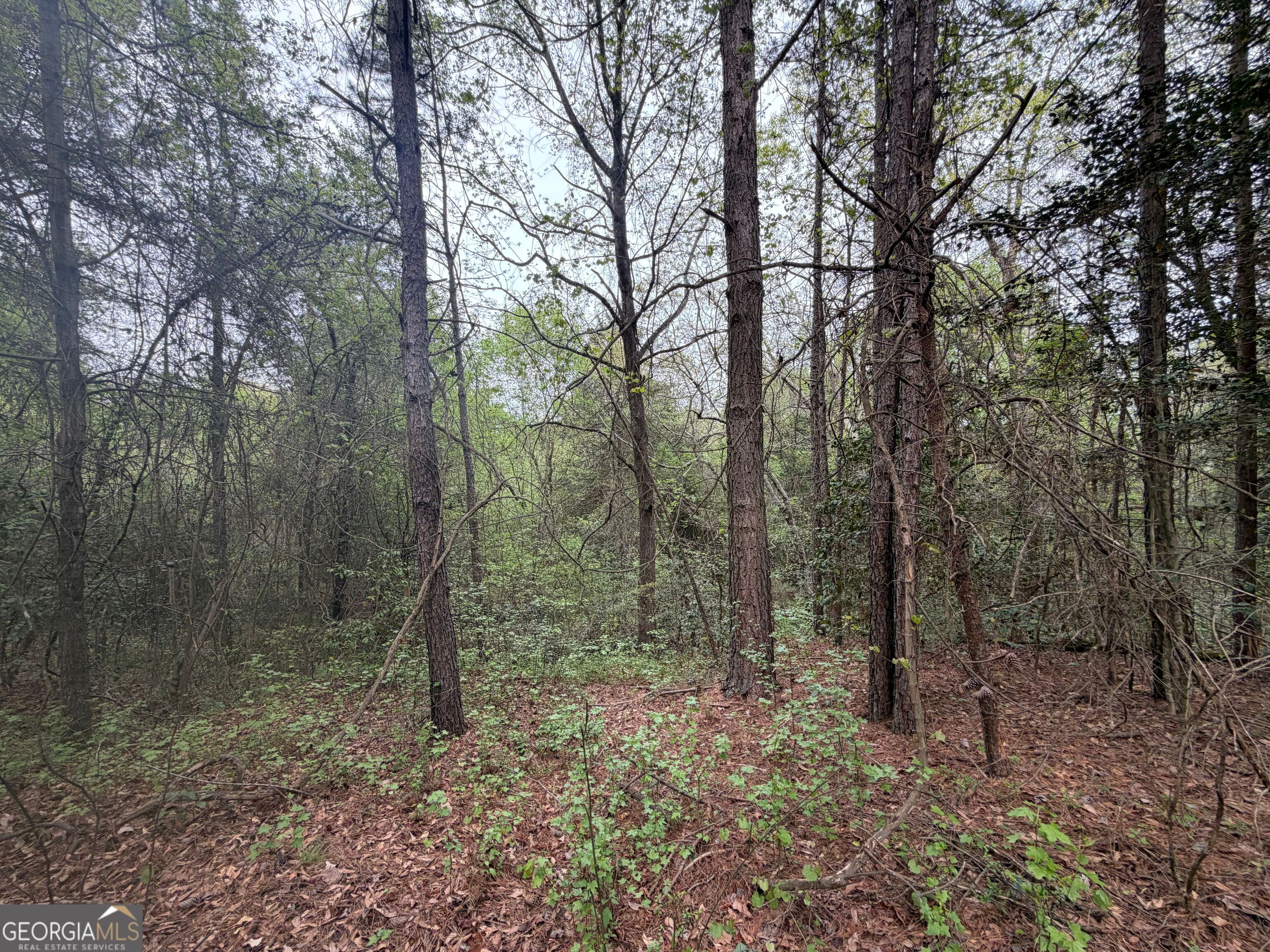 0 N County Line Road Alto GA 30510