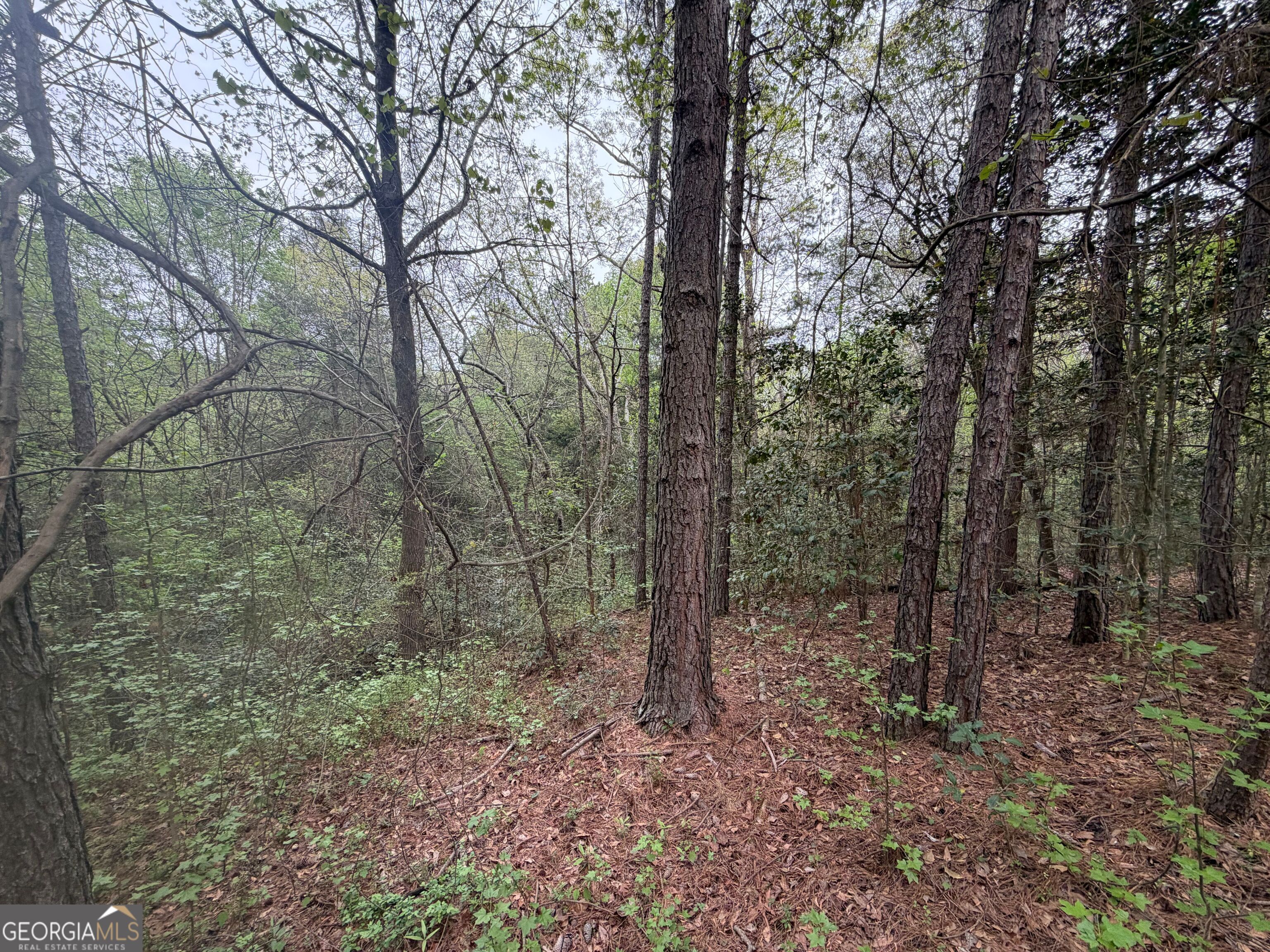 0 N County Line Road Alto GA 30510