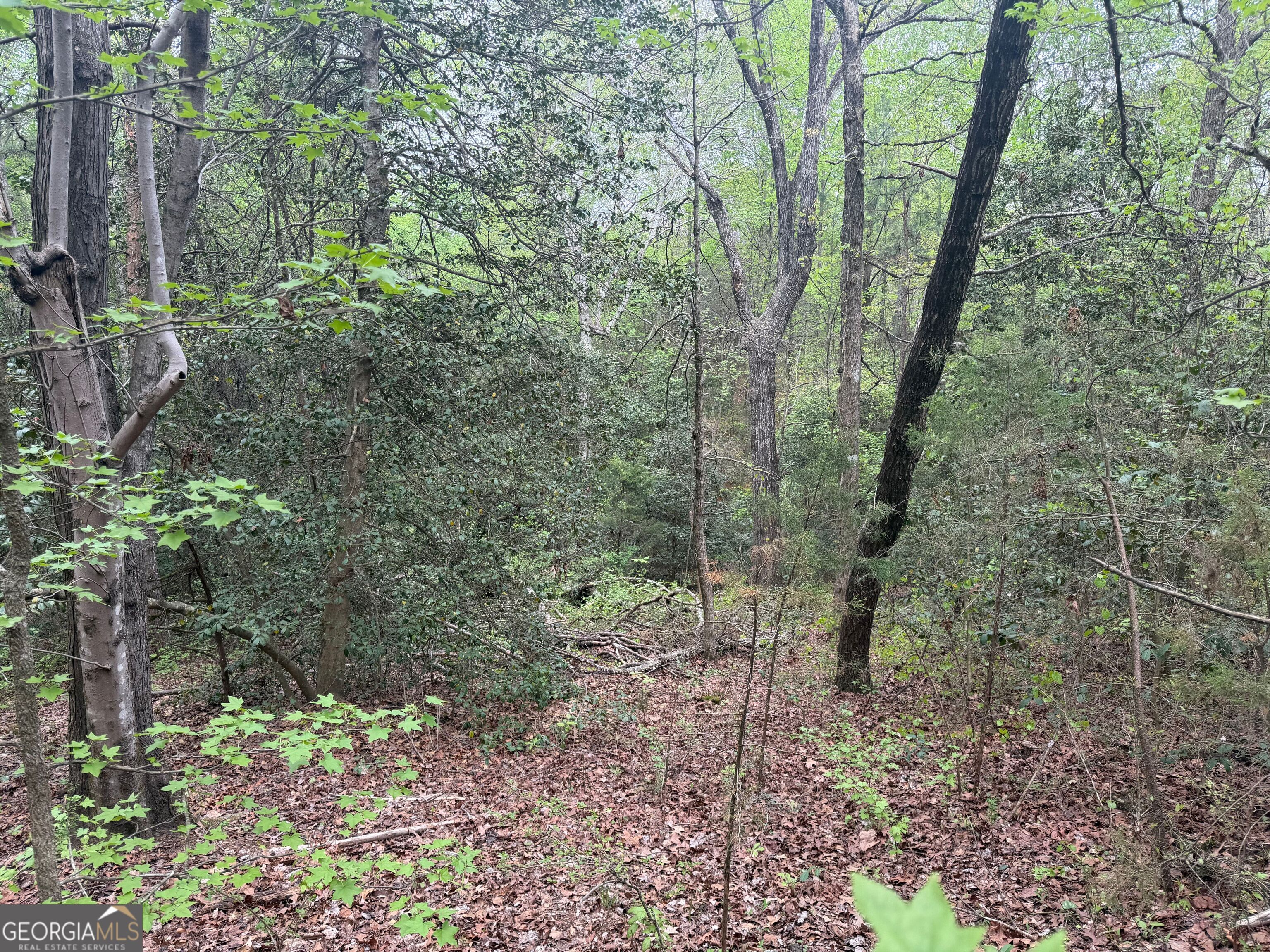 0 N County Line Road Alto GA 30510