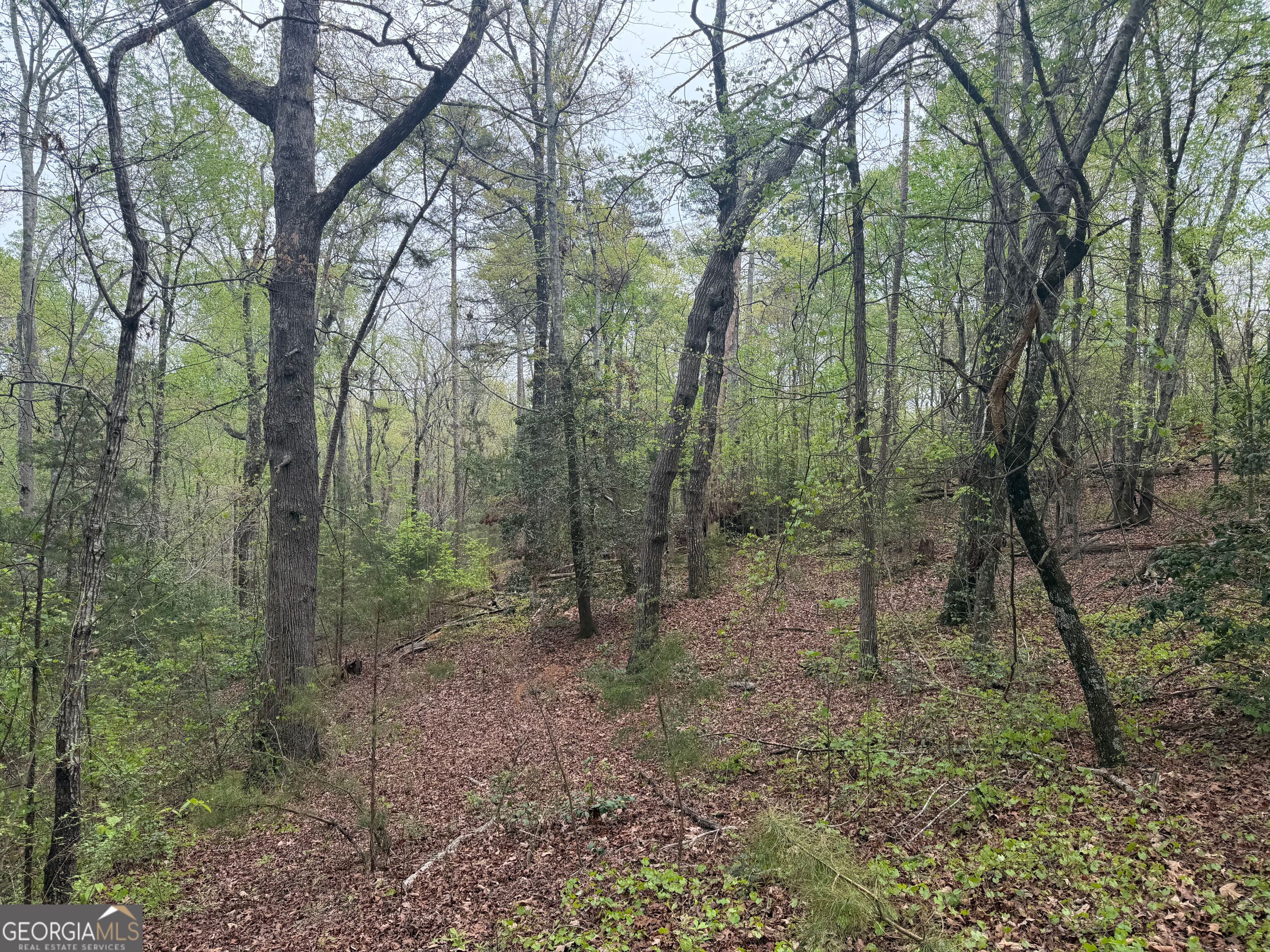 0 N County Line Road Alto GA 30510