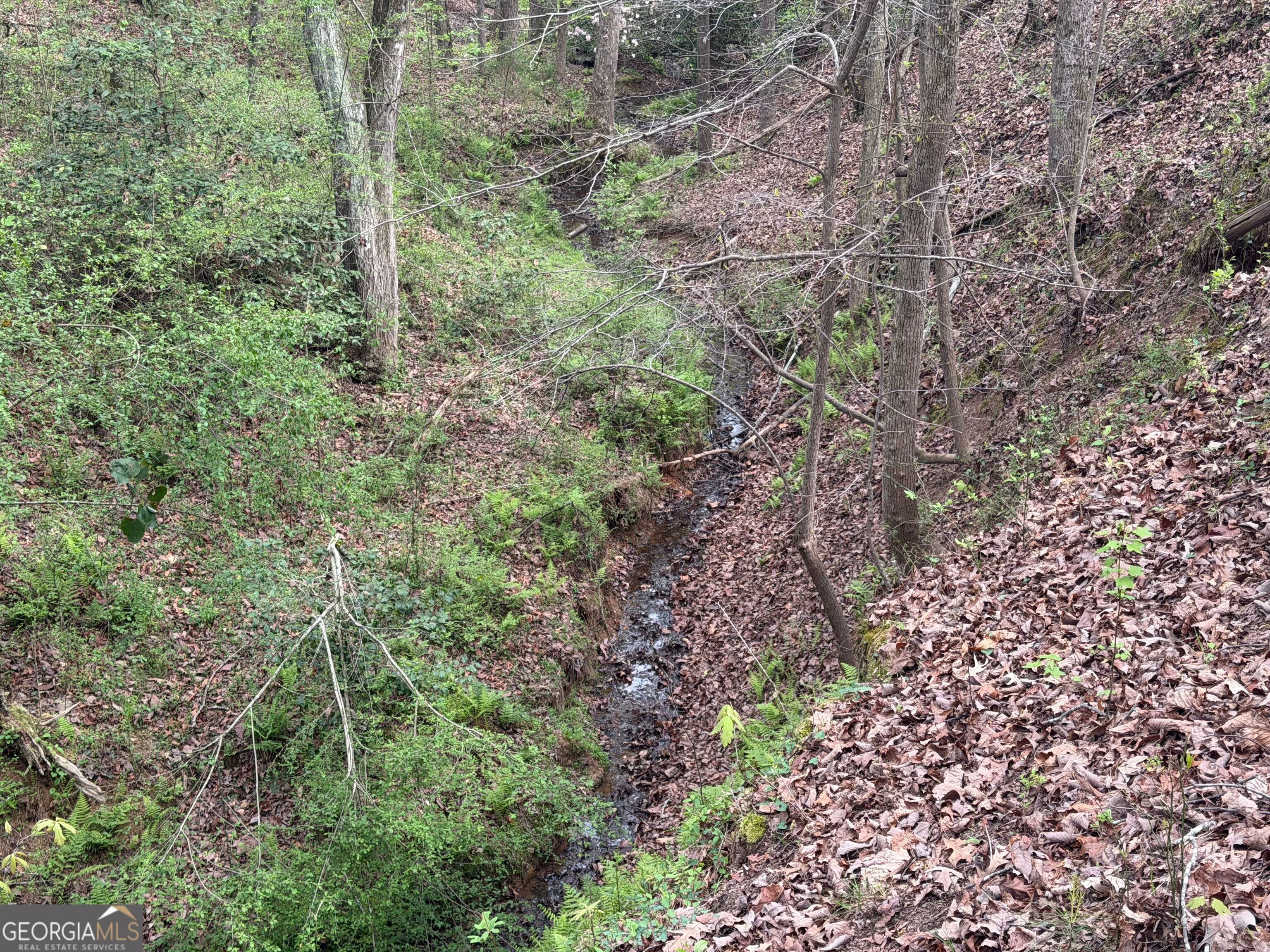0 N County Line Road Alto GA 30510