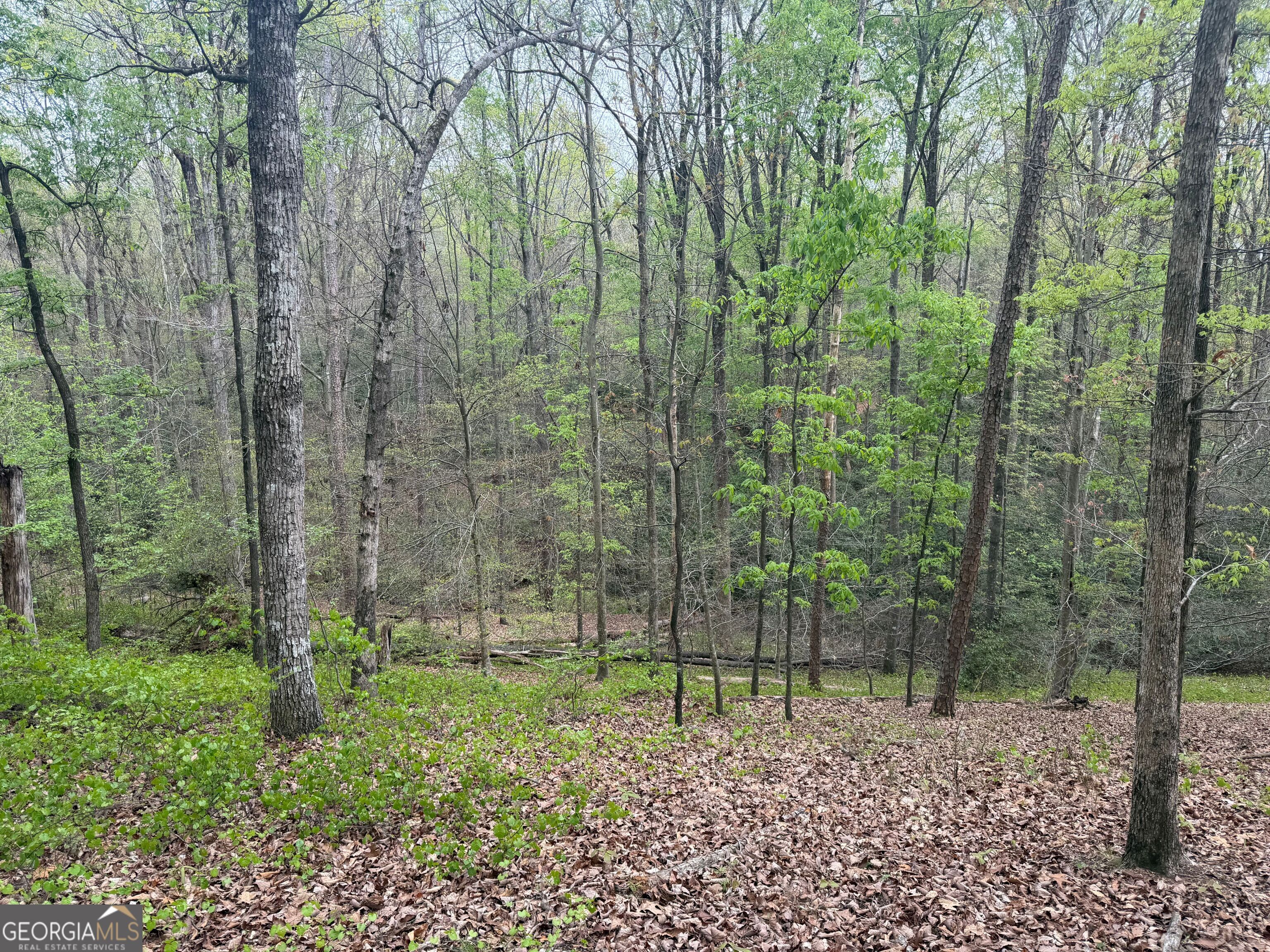 0 N County Line Road Alto GA 30510