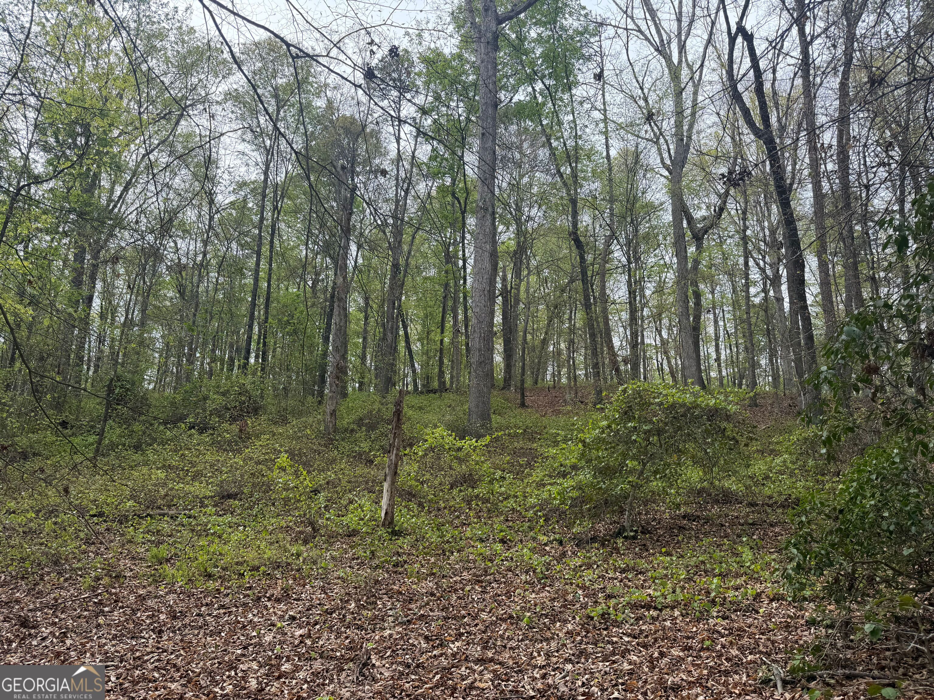 0 N County Line Road Alto GA 30510