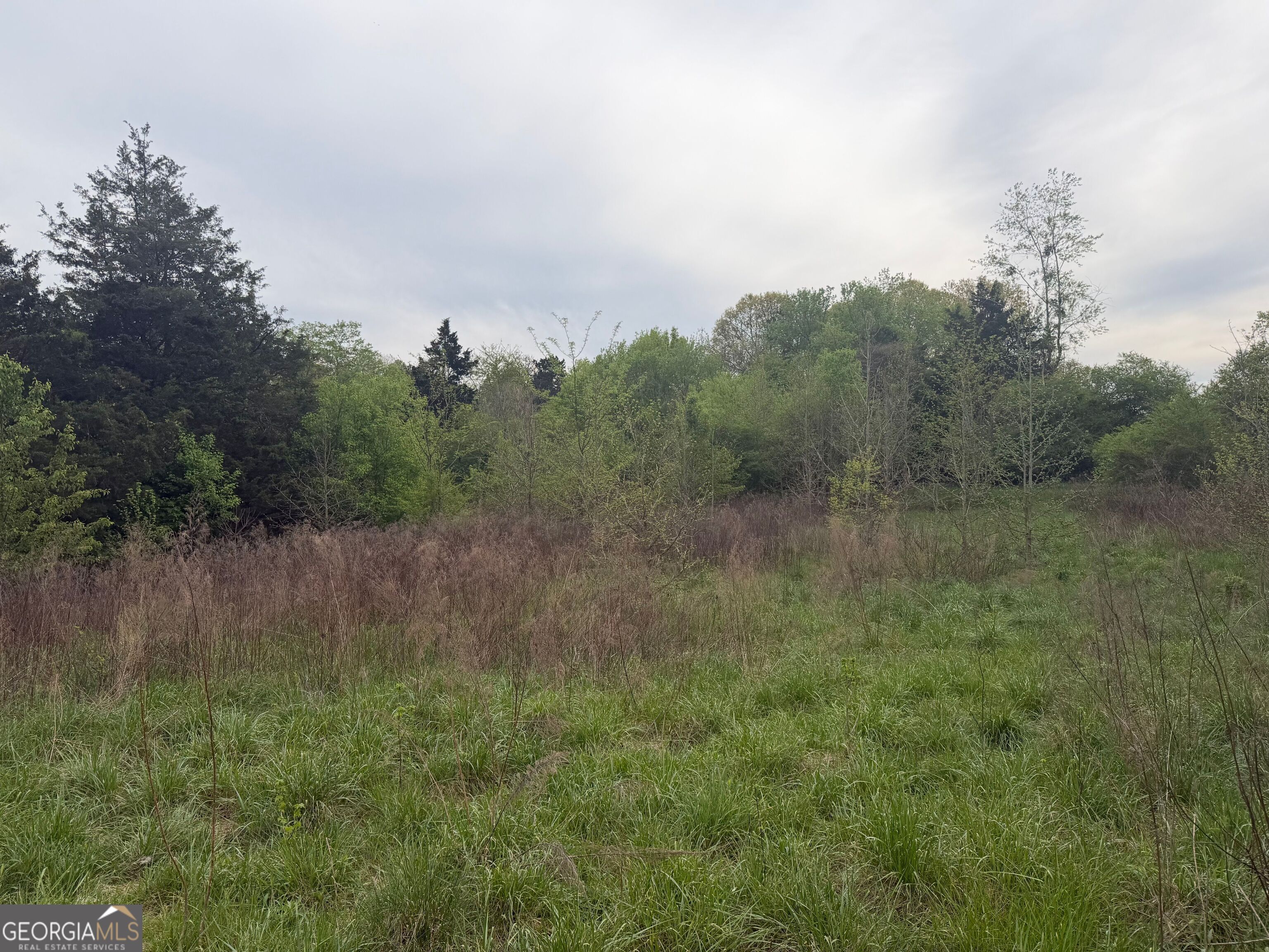 0 N County Line Road Alto GA 30510