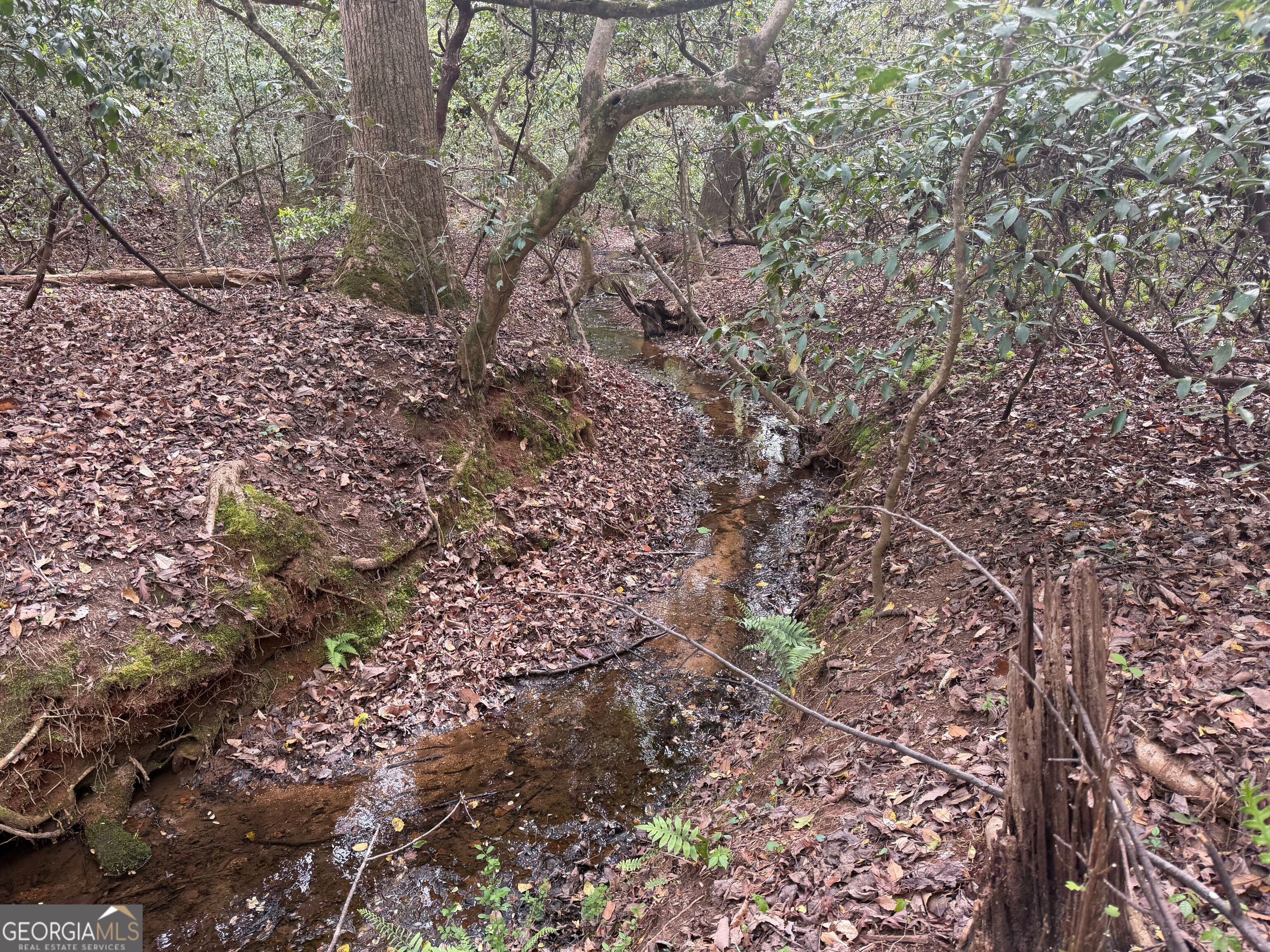 0 N County Line Road Alto GA 30510