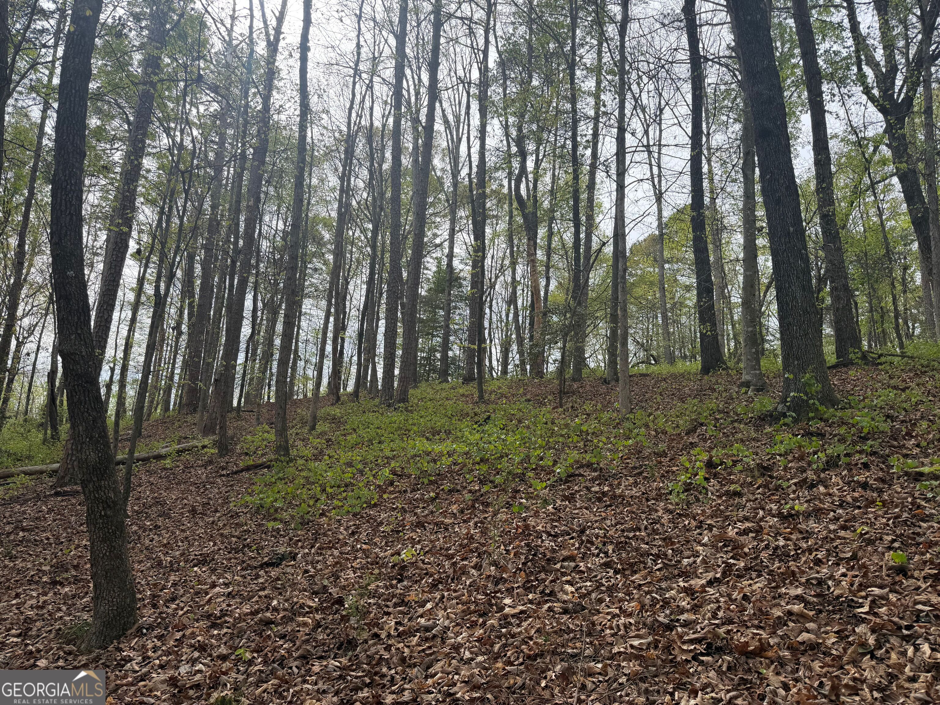 0 N County Line Road Alto GA 30510
