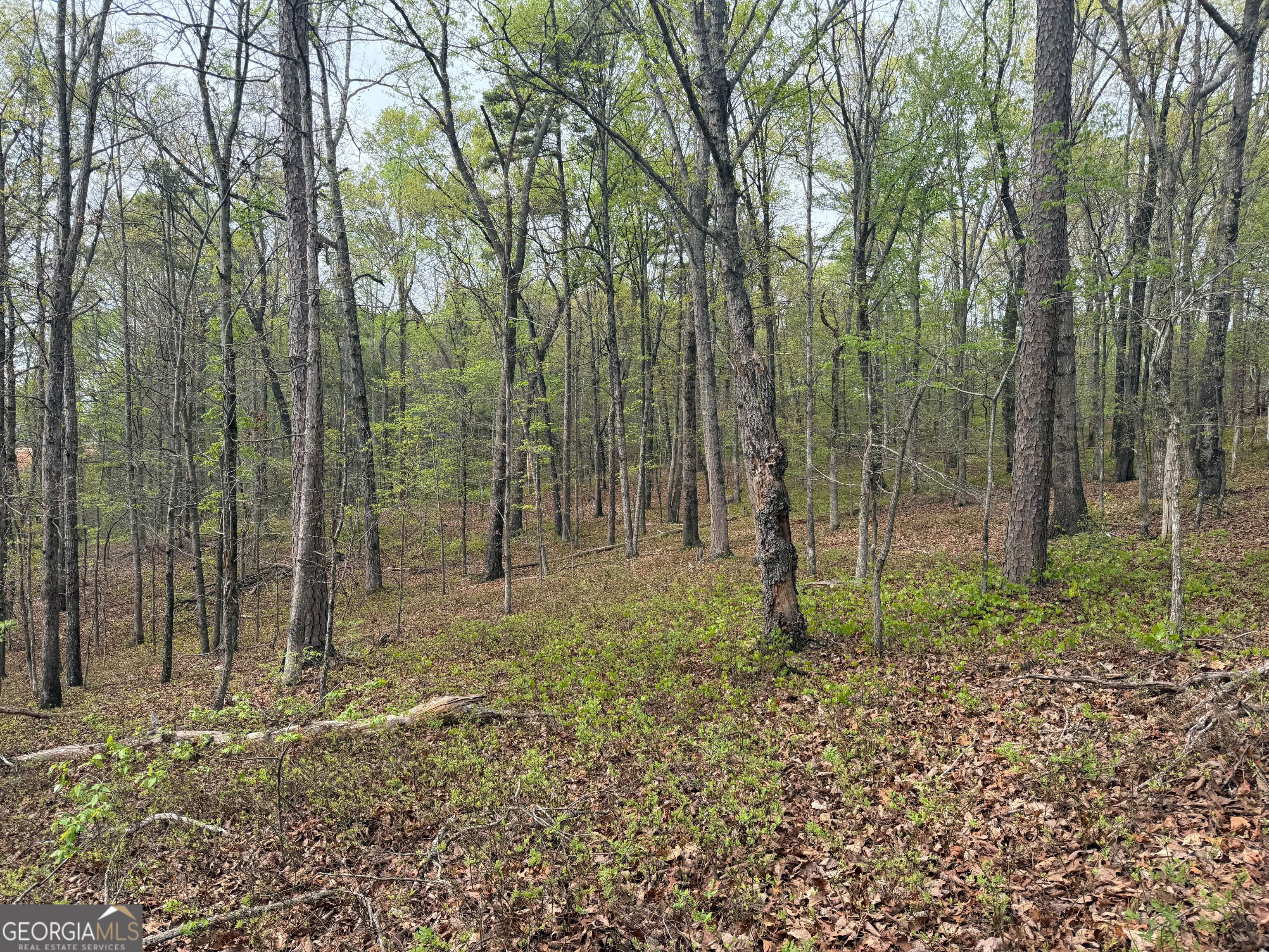 0 N County Line Road Alto GA 30510