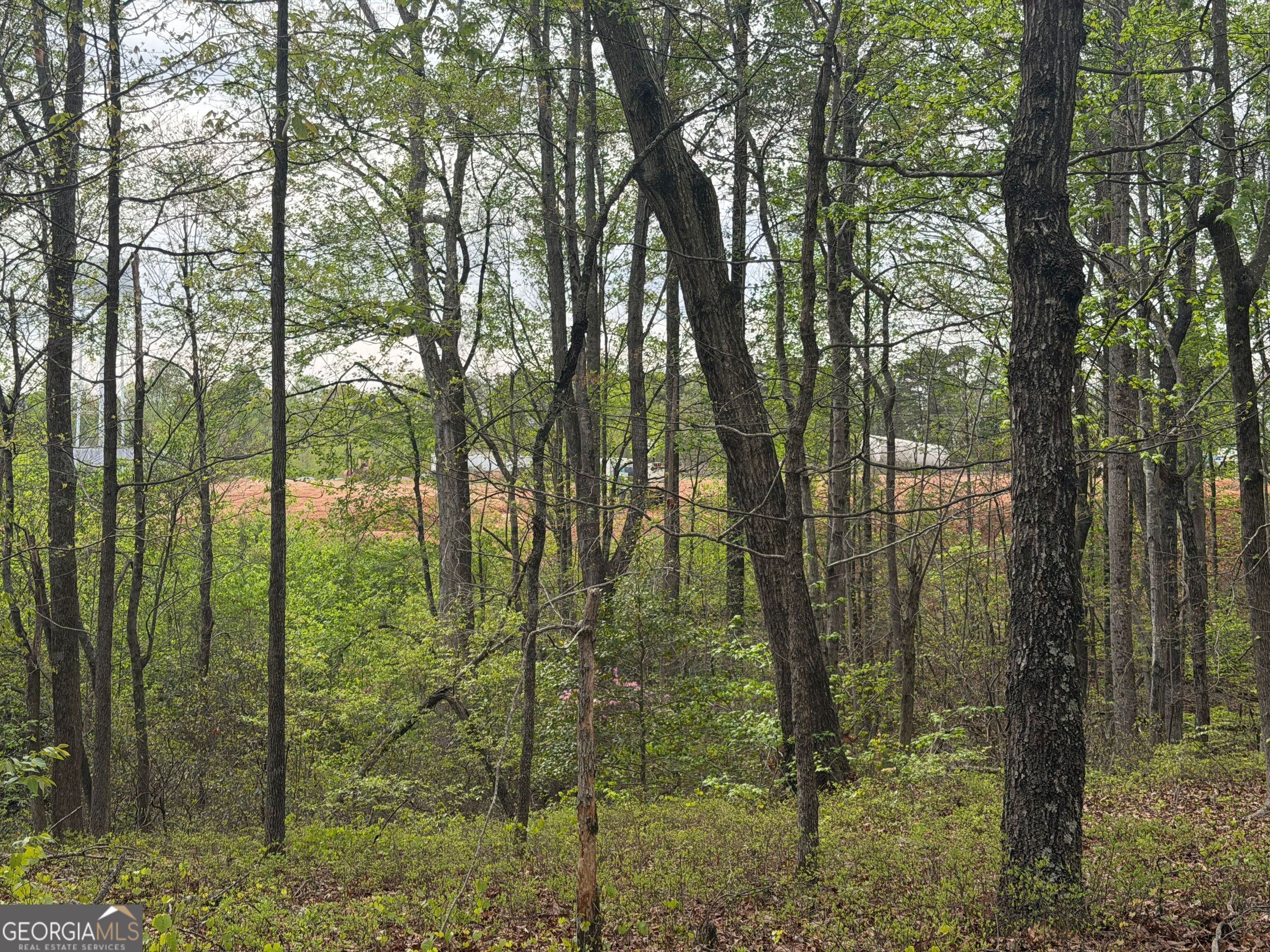 0 N County Line Road Alto GA 30510