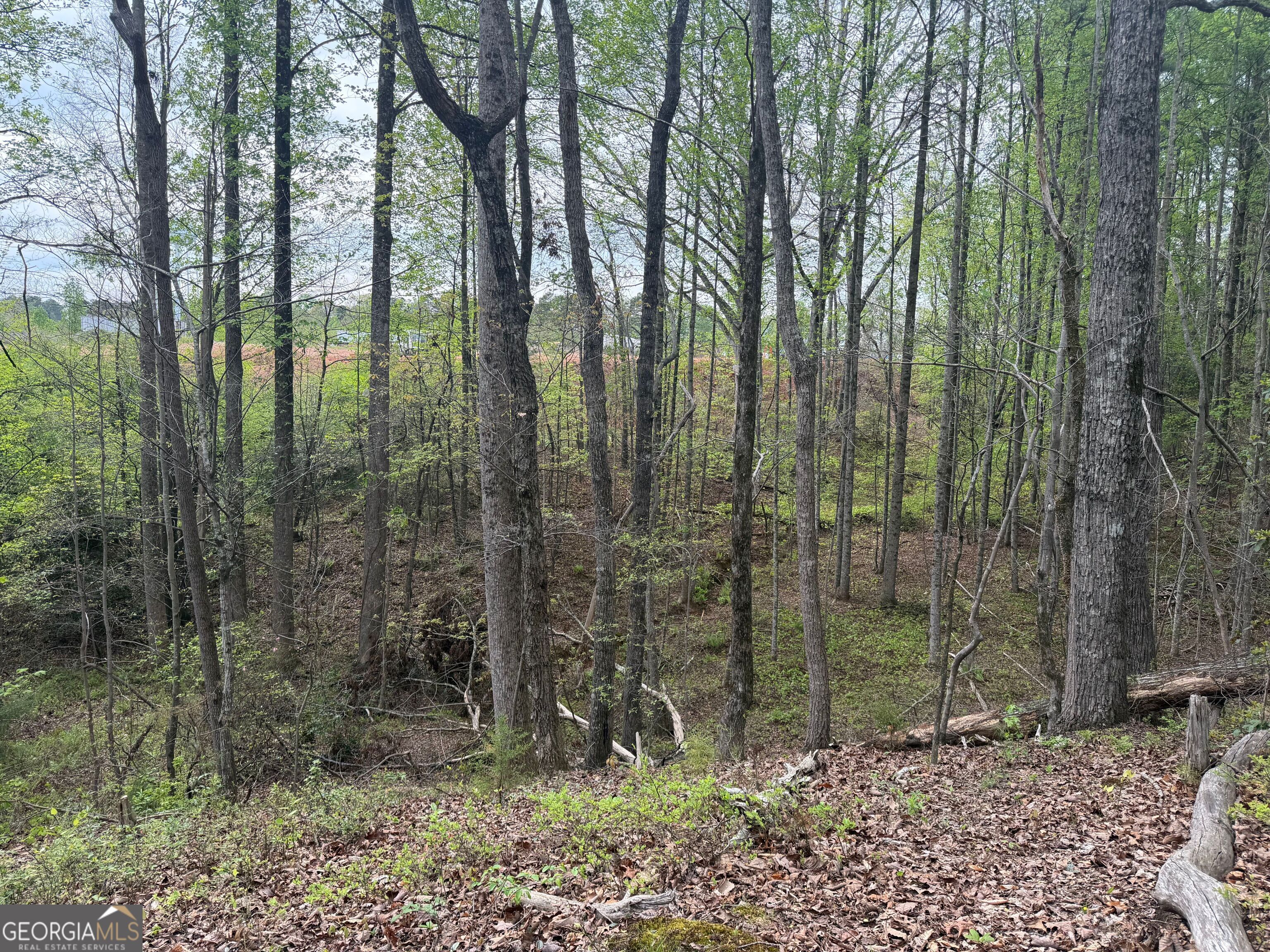 0 N County Line Road Alto GA 30510